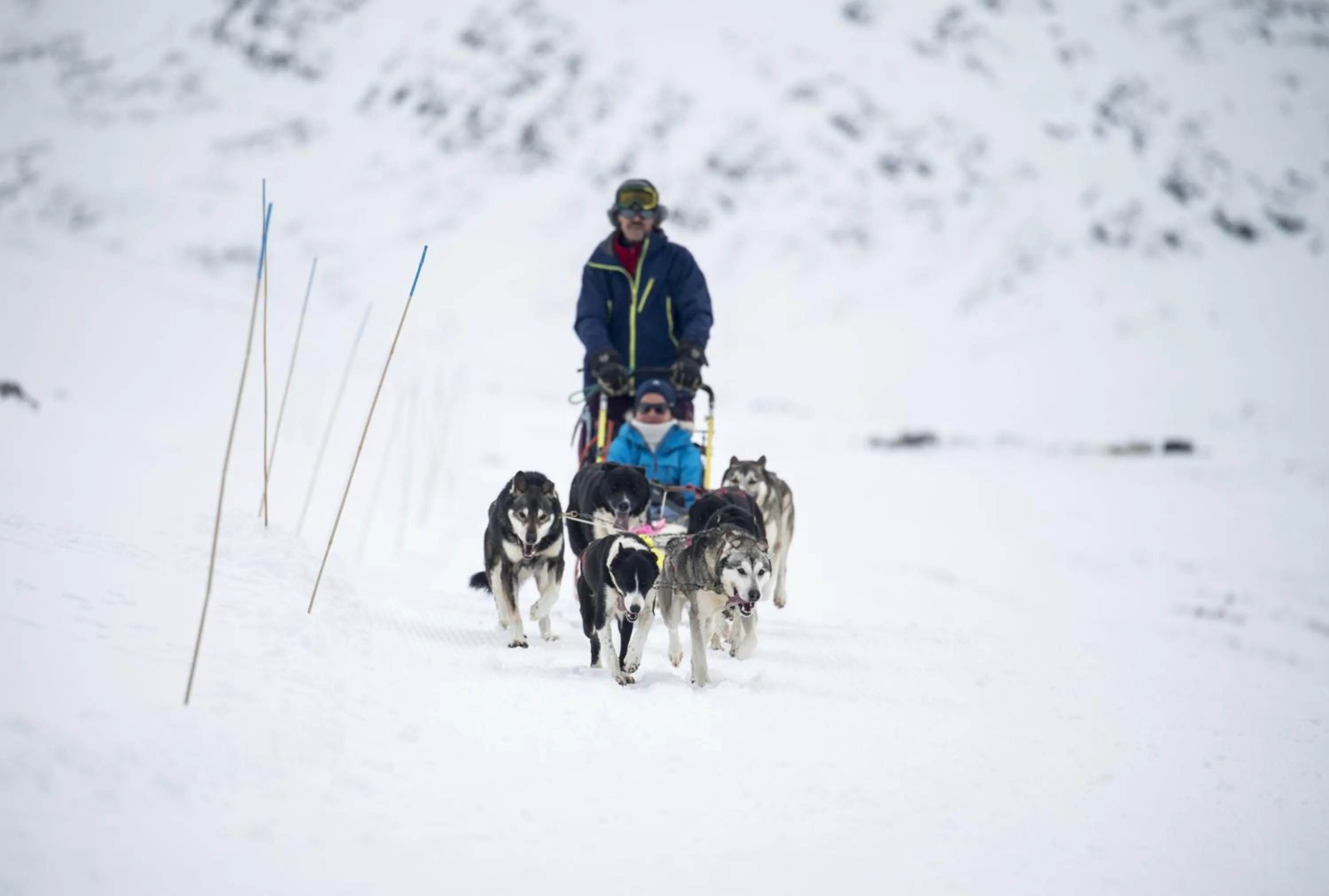 Activities in Smuksjøseter Fjellstue