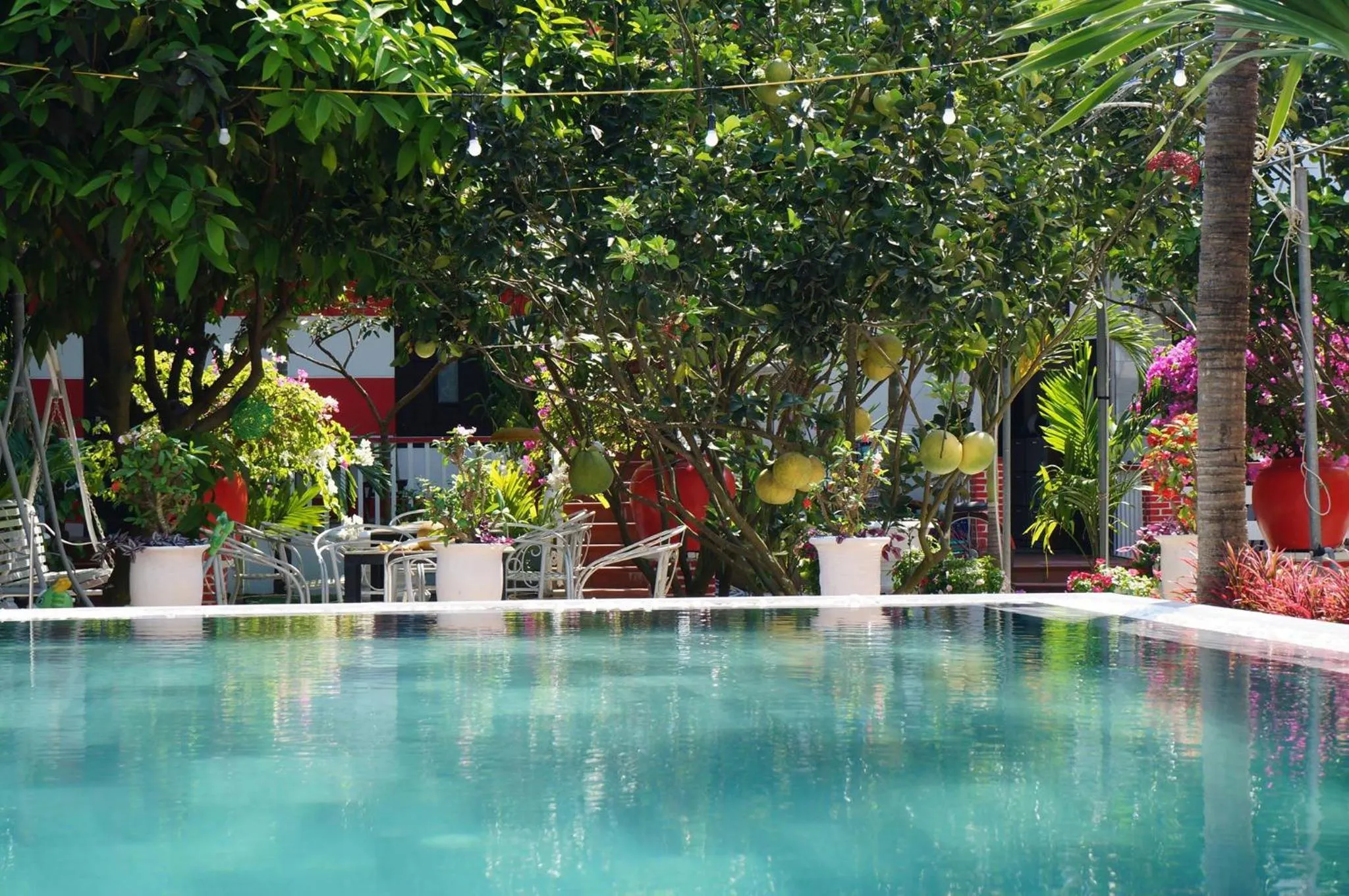 Swimming pool in Red House Homestay - Villa