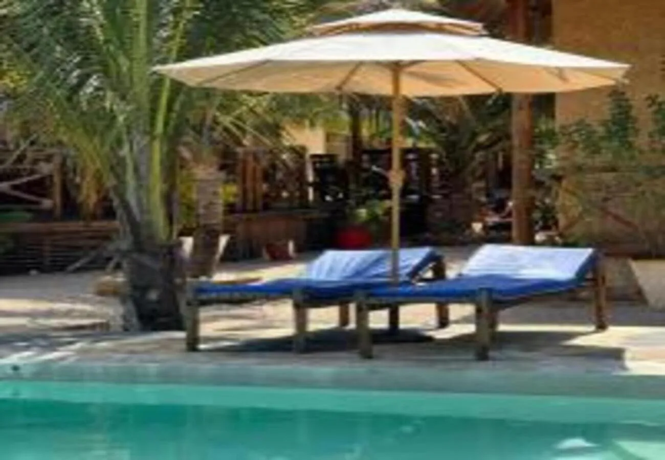 Patio in Palm Cultural Village