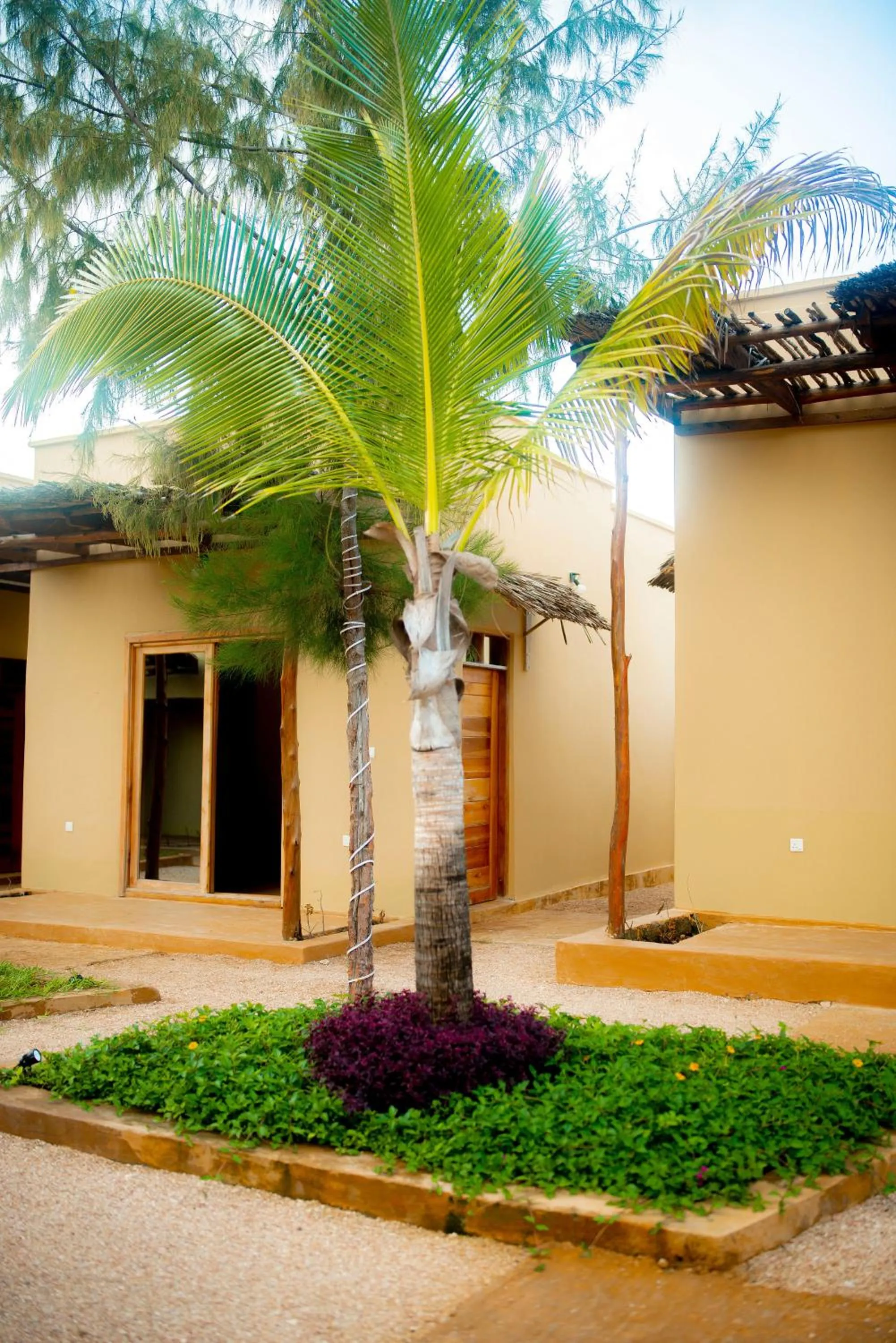 Property building in Palm Cultural Village