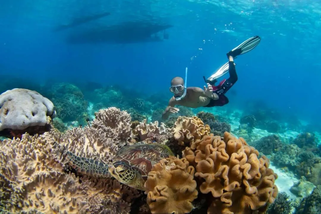 Baki Divers and Beach Resort
