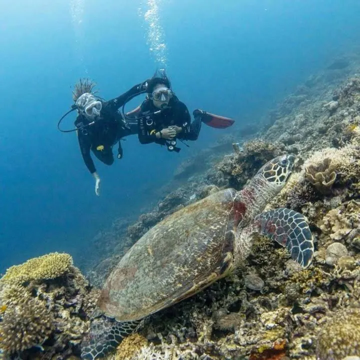 Baki Divers and Beach Resort