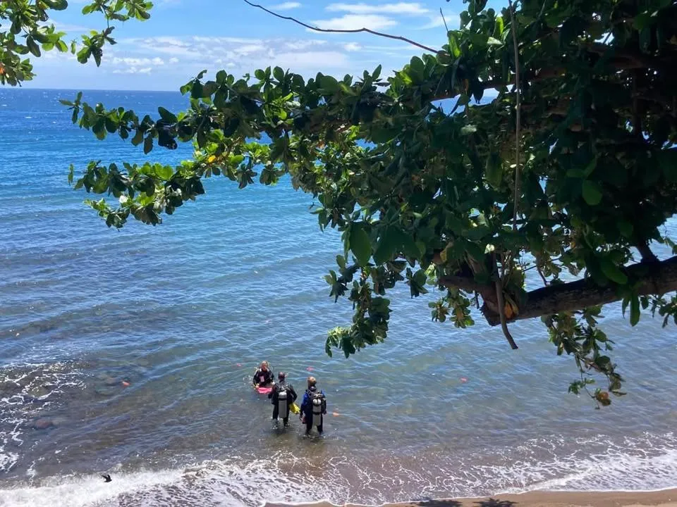 Baki Divers and Beach Resort