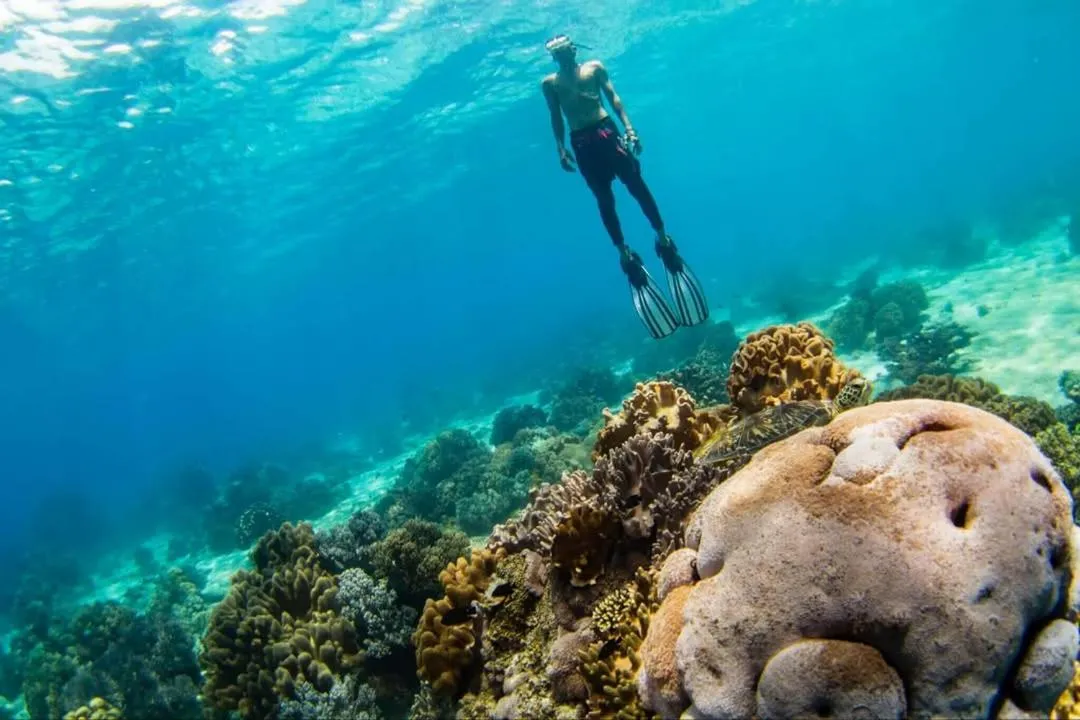 Baki Divers and Beach Resort