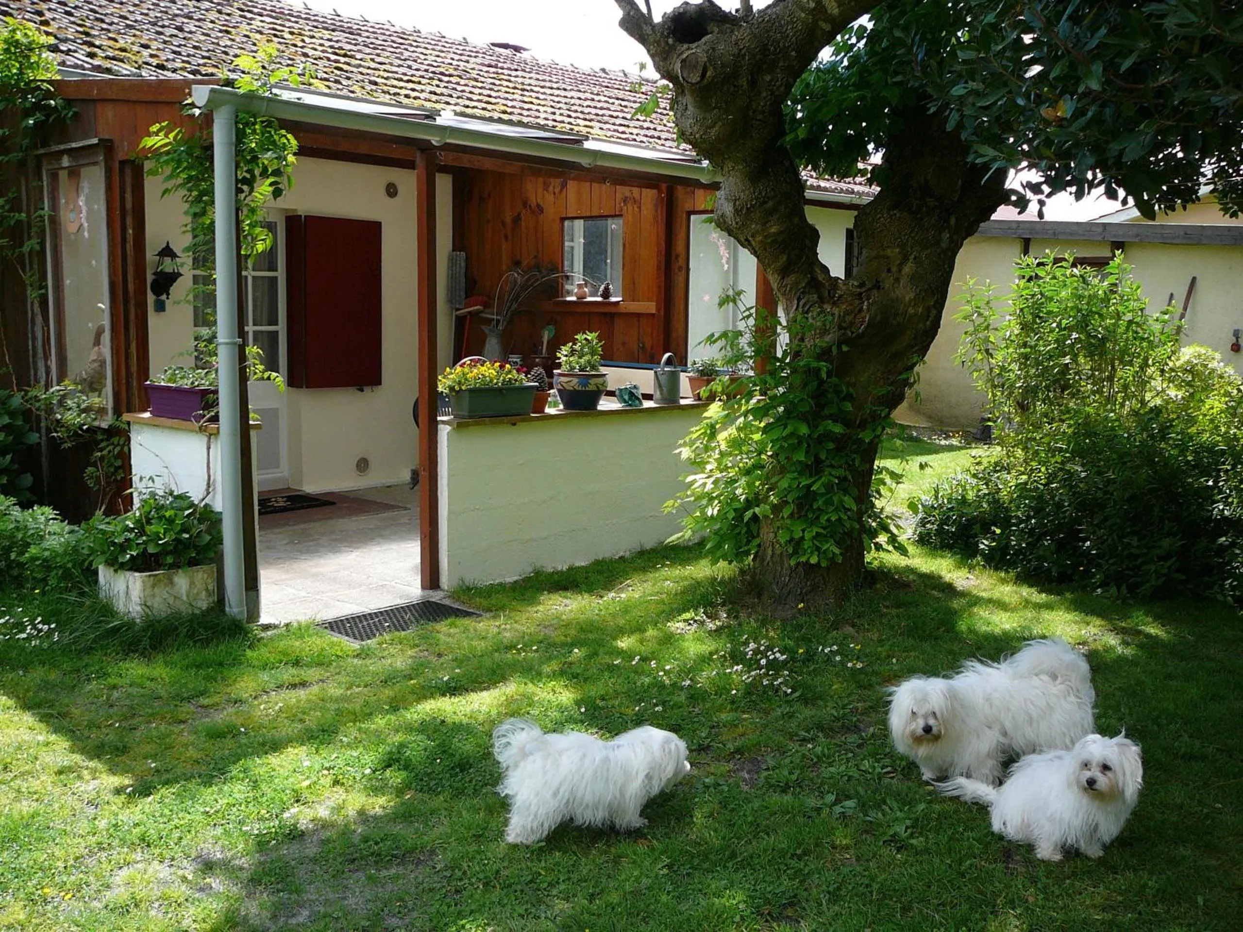 Studio Apartment - single occupancy in Guesthouse La Burle