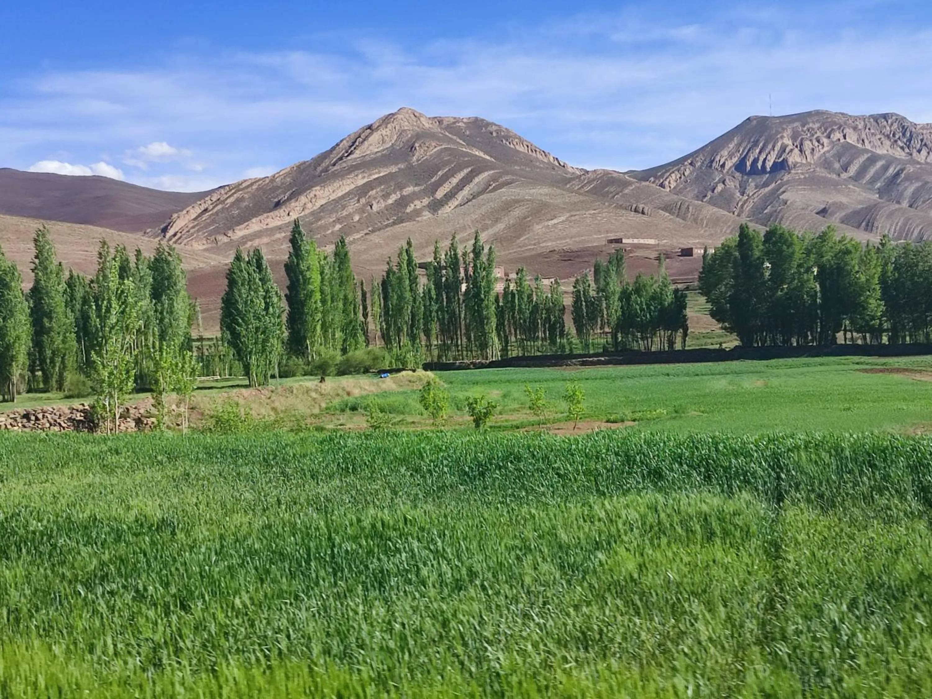 Auberge restaurant Afoud