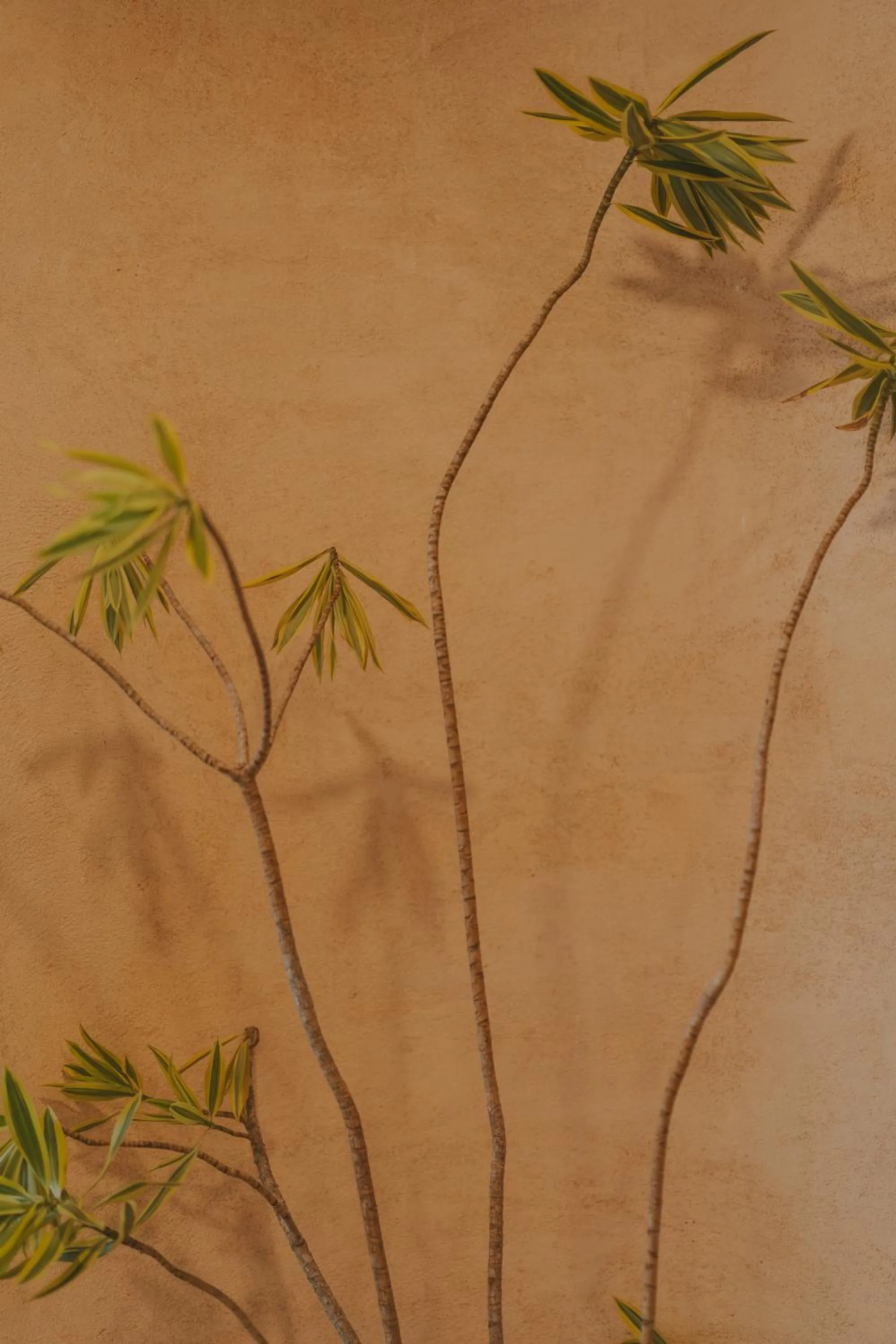 Lobby or reception in Hotel Clay Chiang Mai