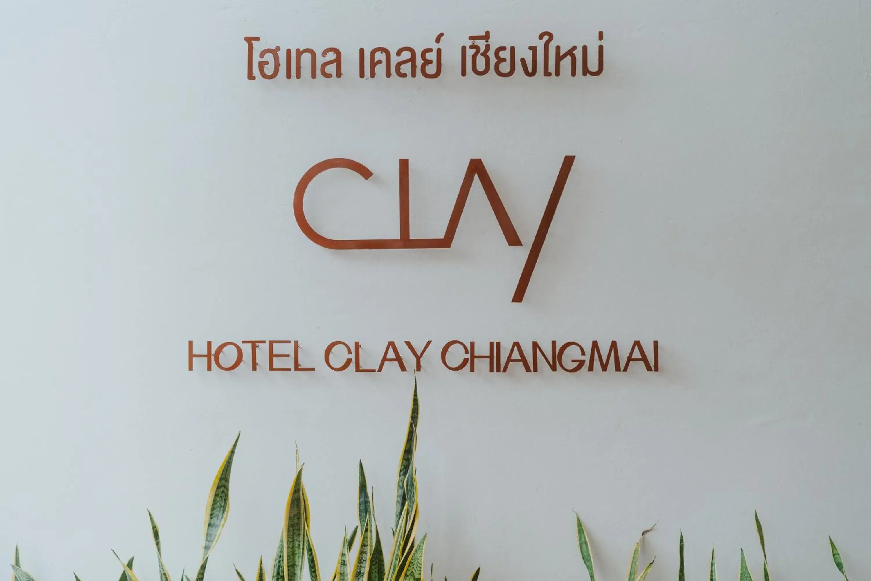 Lobby or reception in Hotel Clay Chiang Mai Lobby or reception in Hotel Clay Chiang Mai