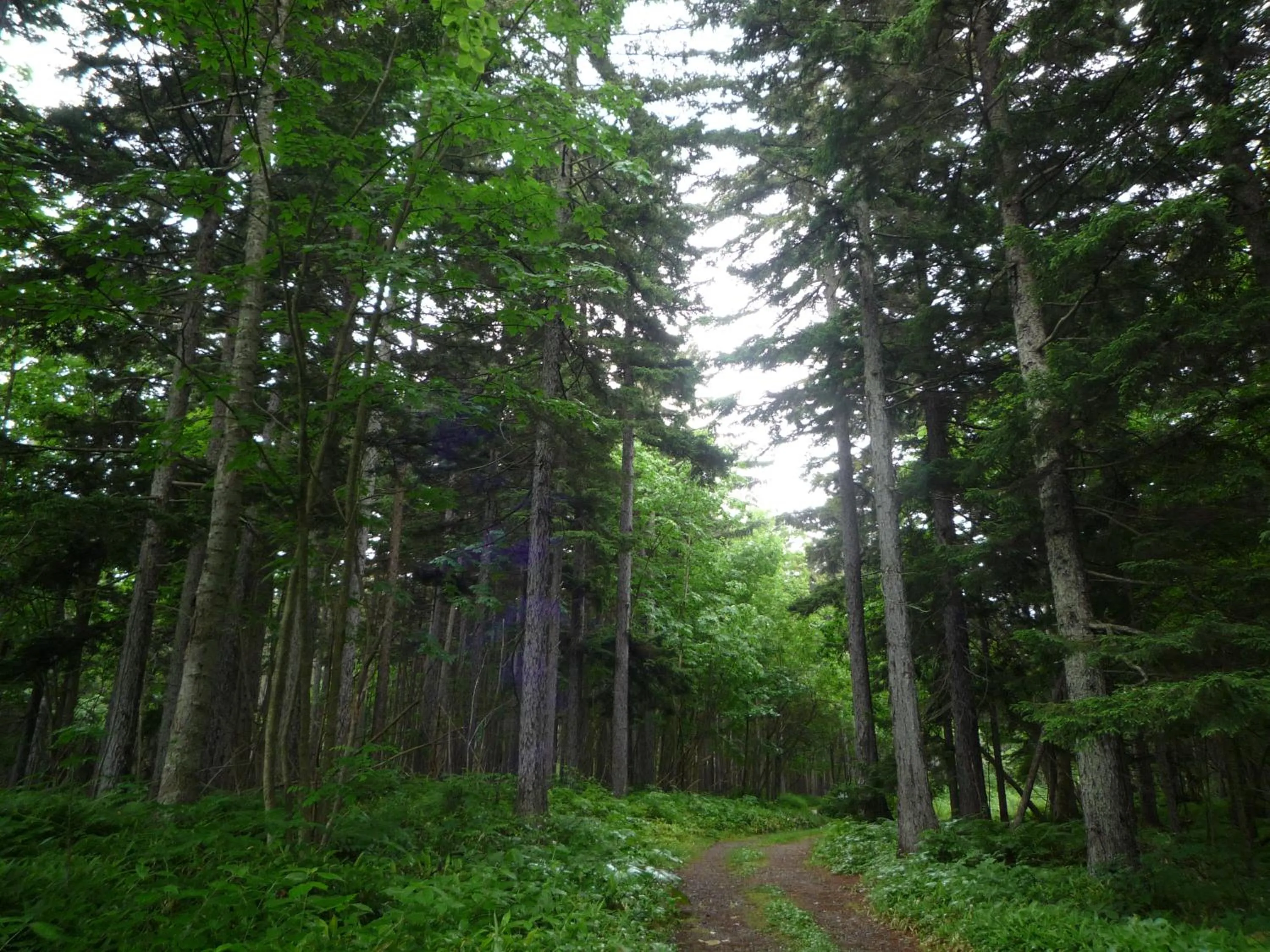 Natural landscape in Oyado Kinkiyu Annex SUIKAZURA