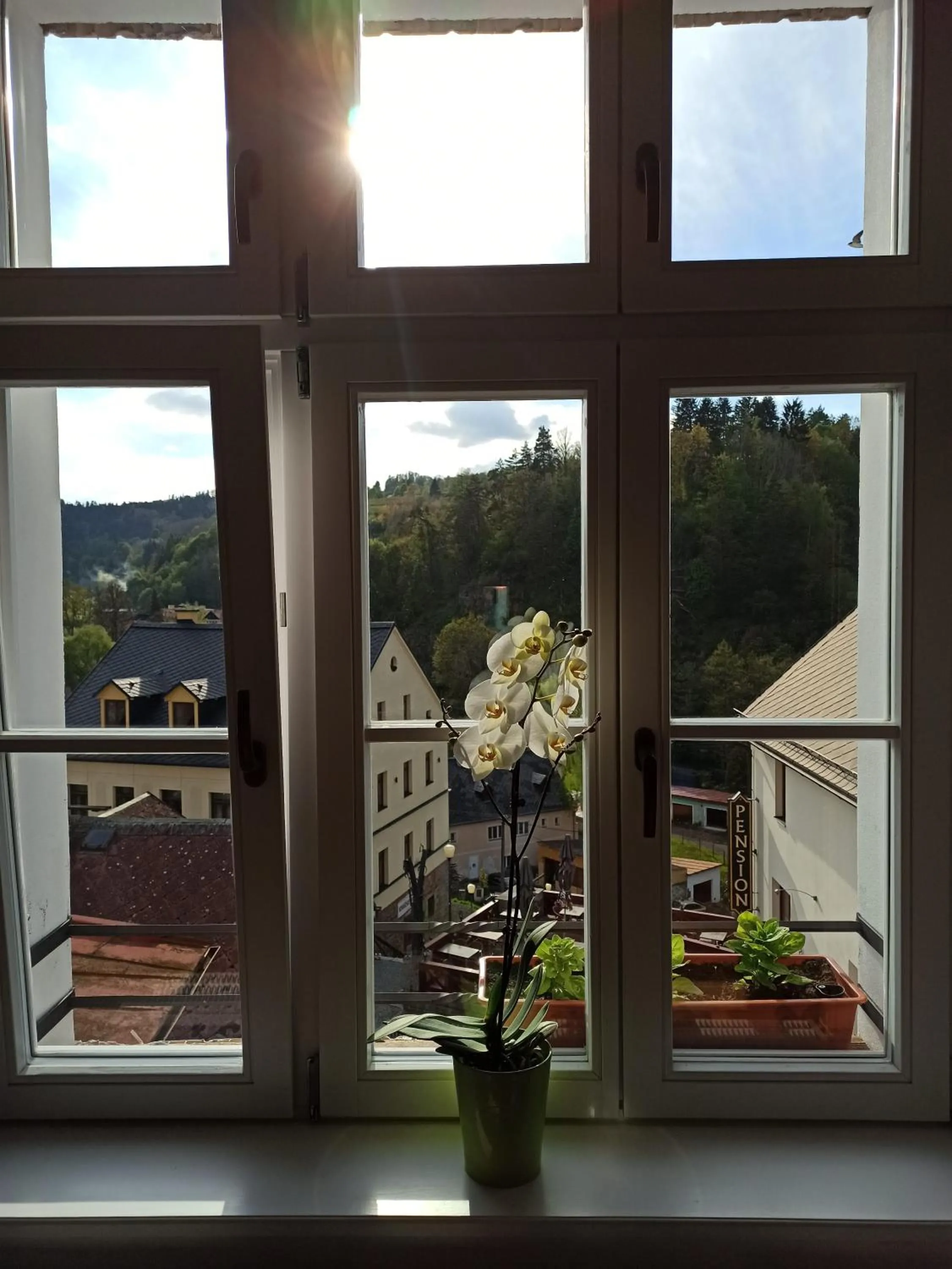 Off site in Apartmán u Mlsného medvěda