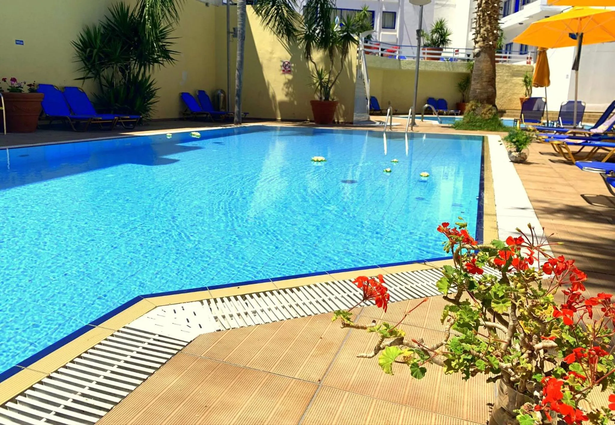 Swimming pool in Kassavetis Center - Hotel Studios & Apartments