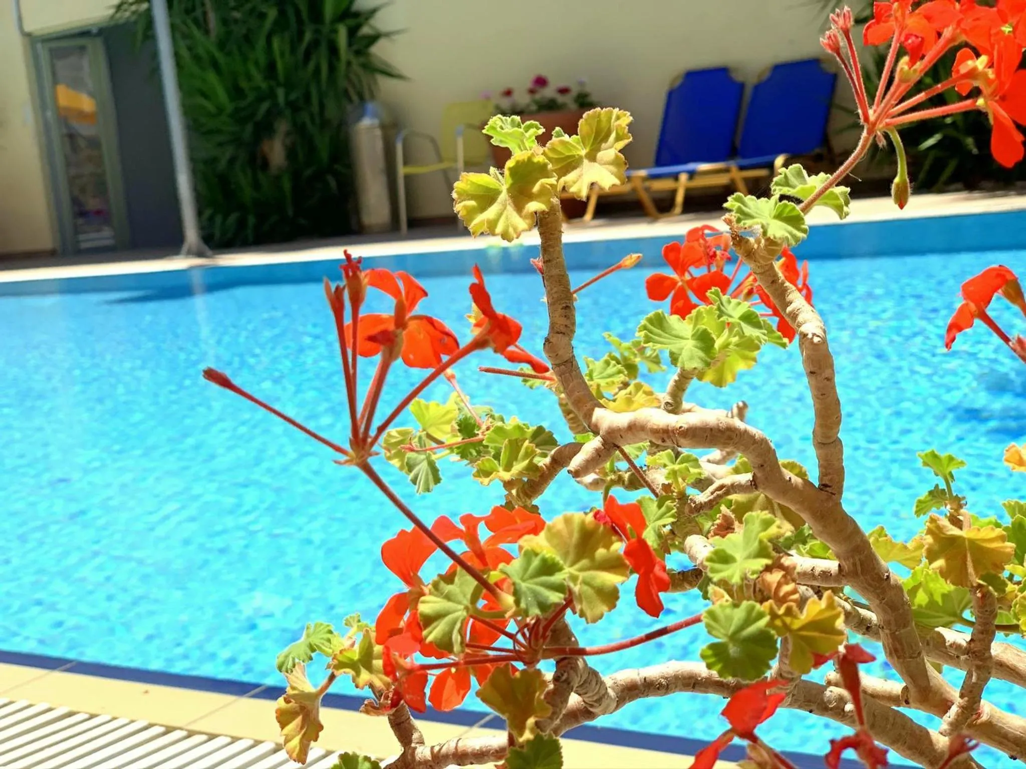 Swimming pool in Kassavetis Center - Hotel Studios & Apartments