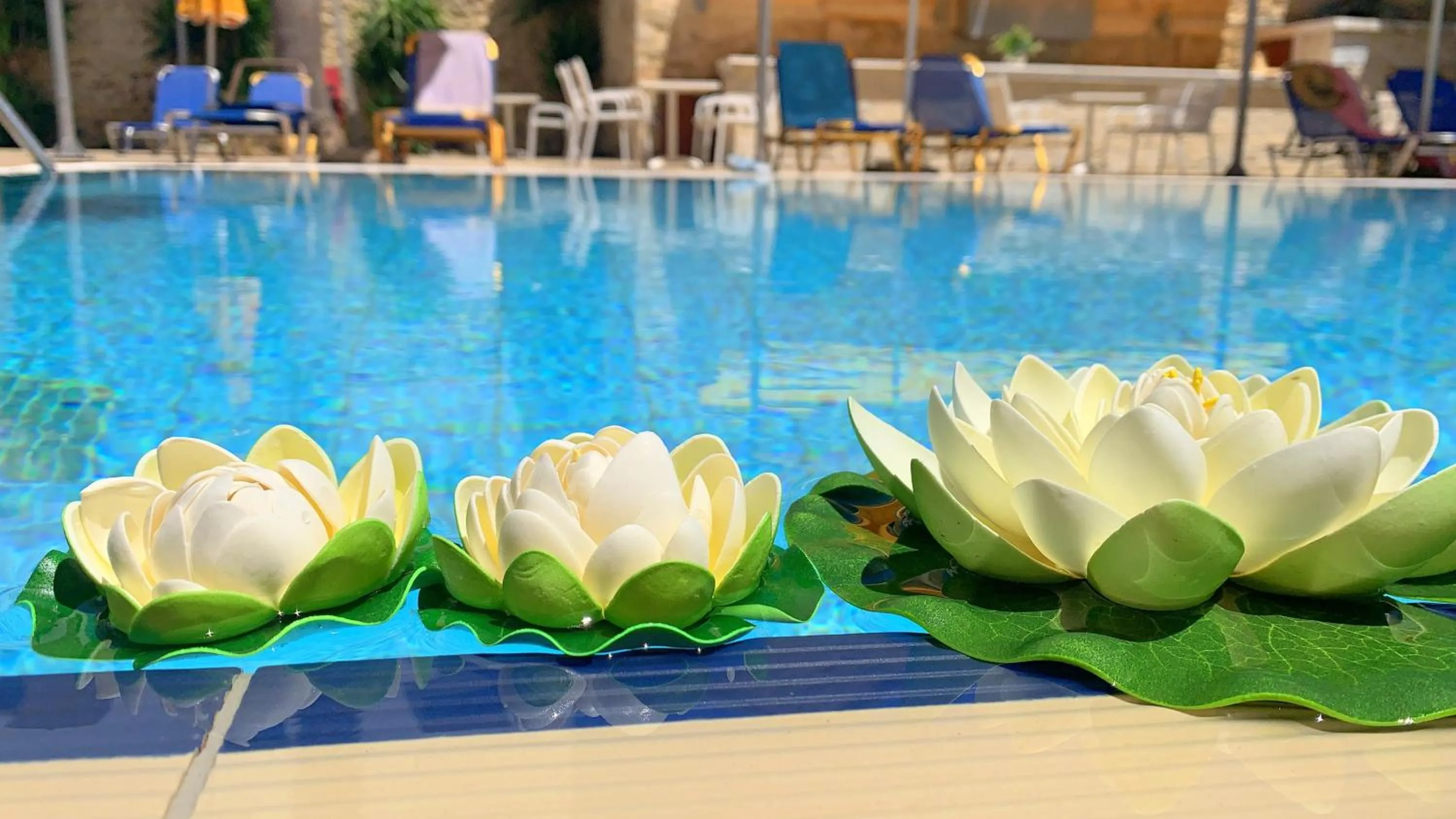Swimming pool in Kassavetis Center - Hotel Studios & Apartments