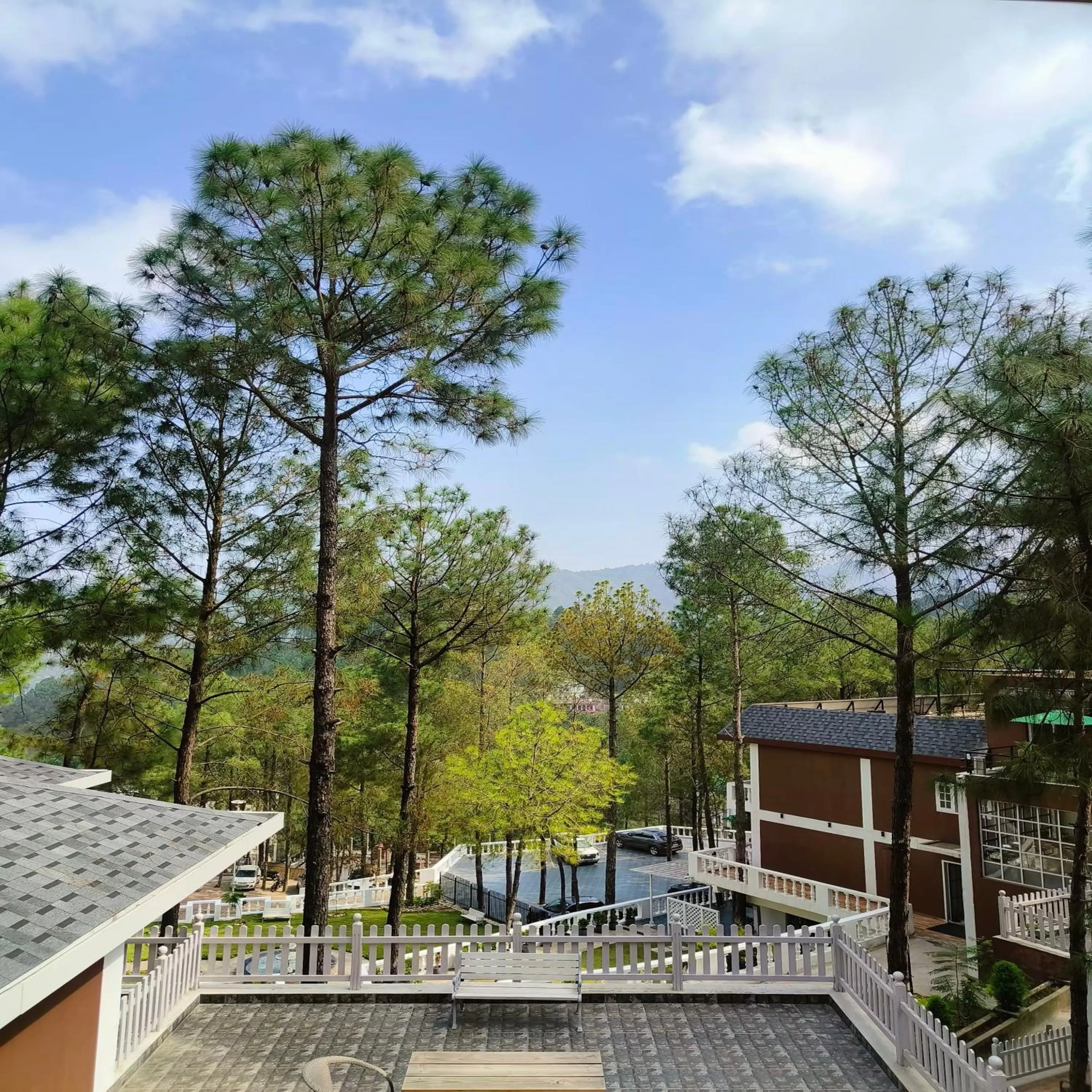 Spring in WelcomHeritage Santa Roza Kasauli