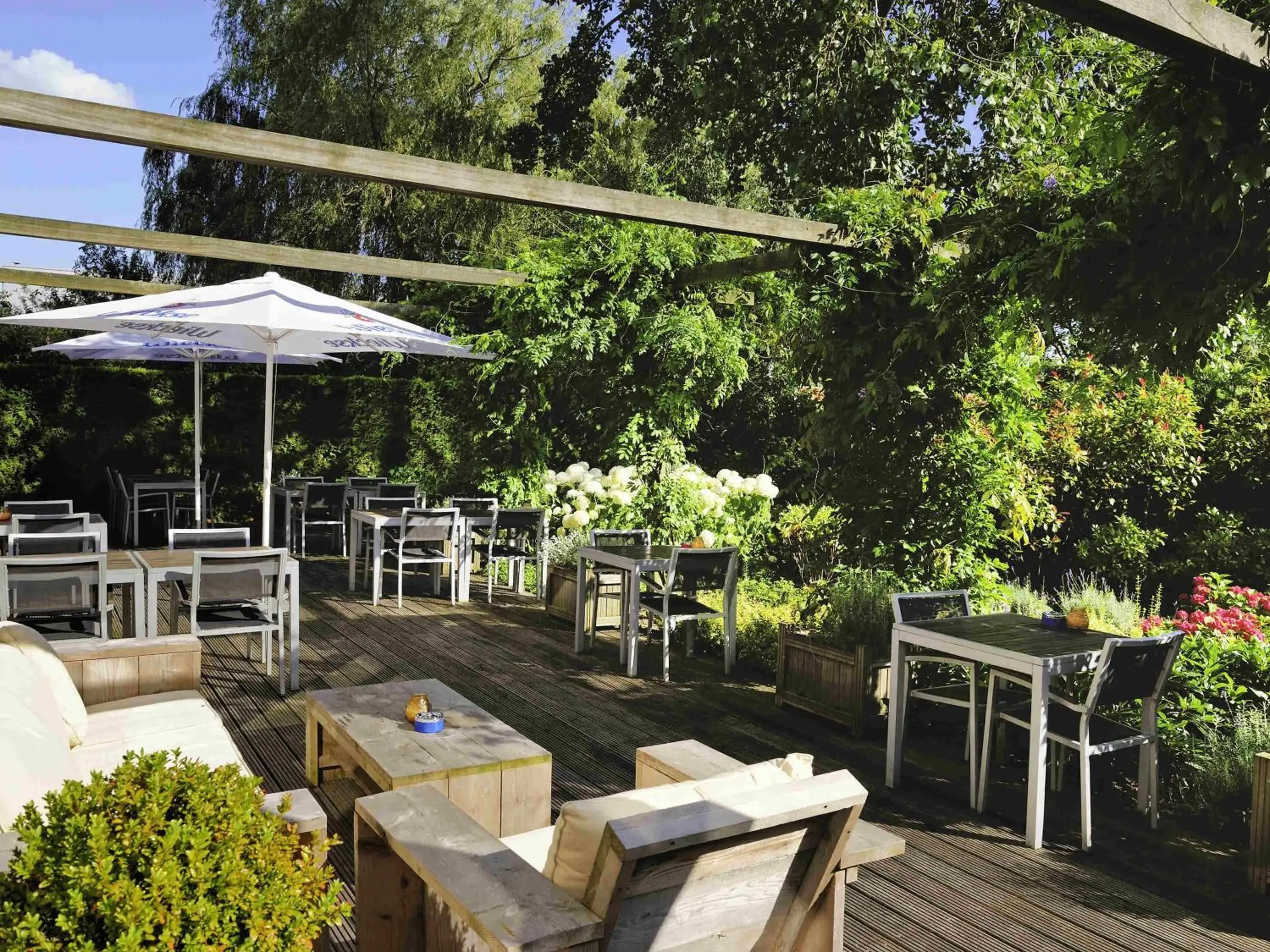 Restaurant/places to eat in ibis Rotterdam Vlaardingen Restaurant/places to eat in ibis Rotterdam Vlaardingen