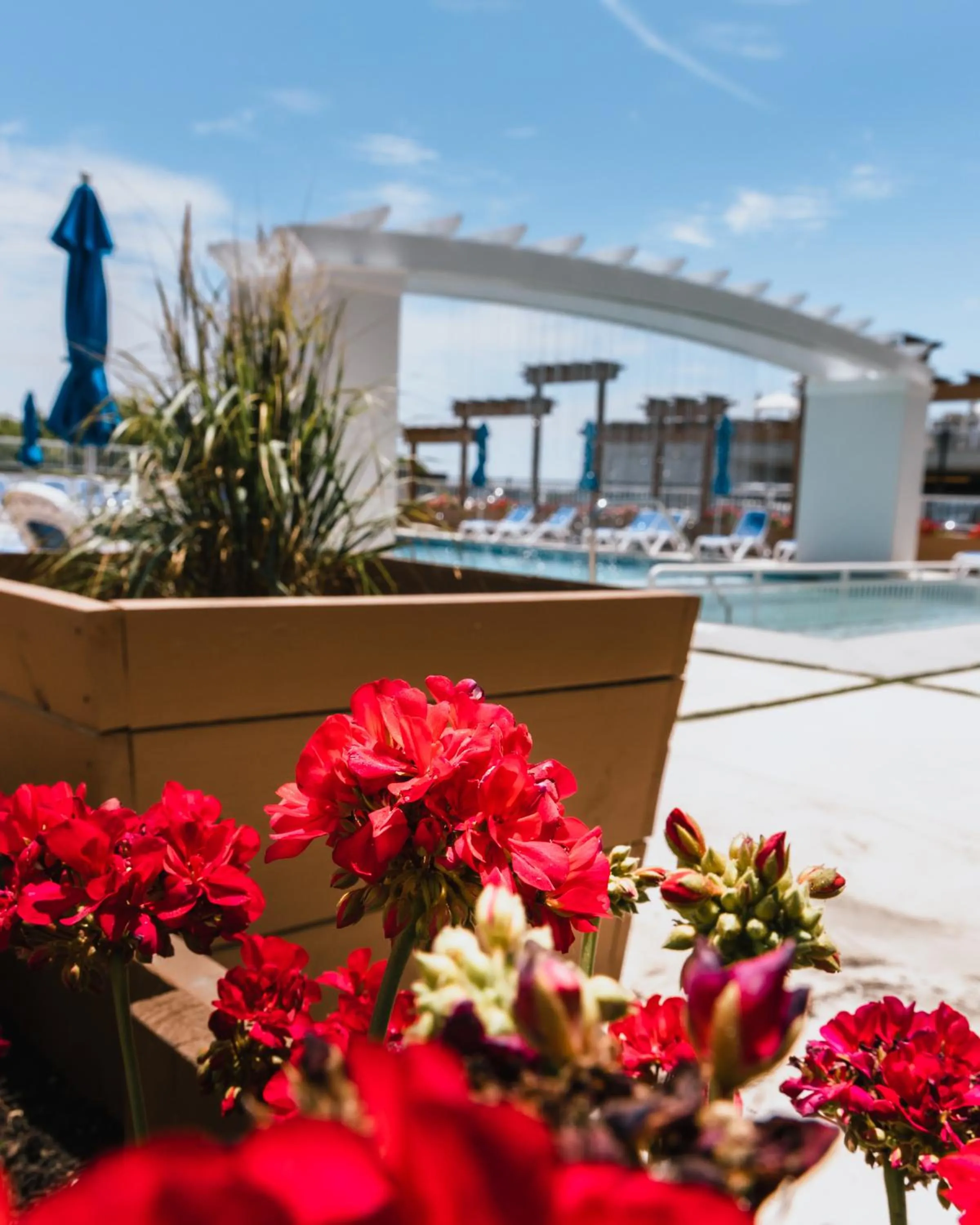 Swimming pool in Mahalo Diamond Beach Resort