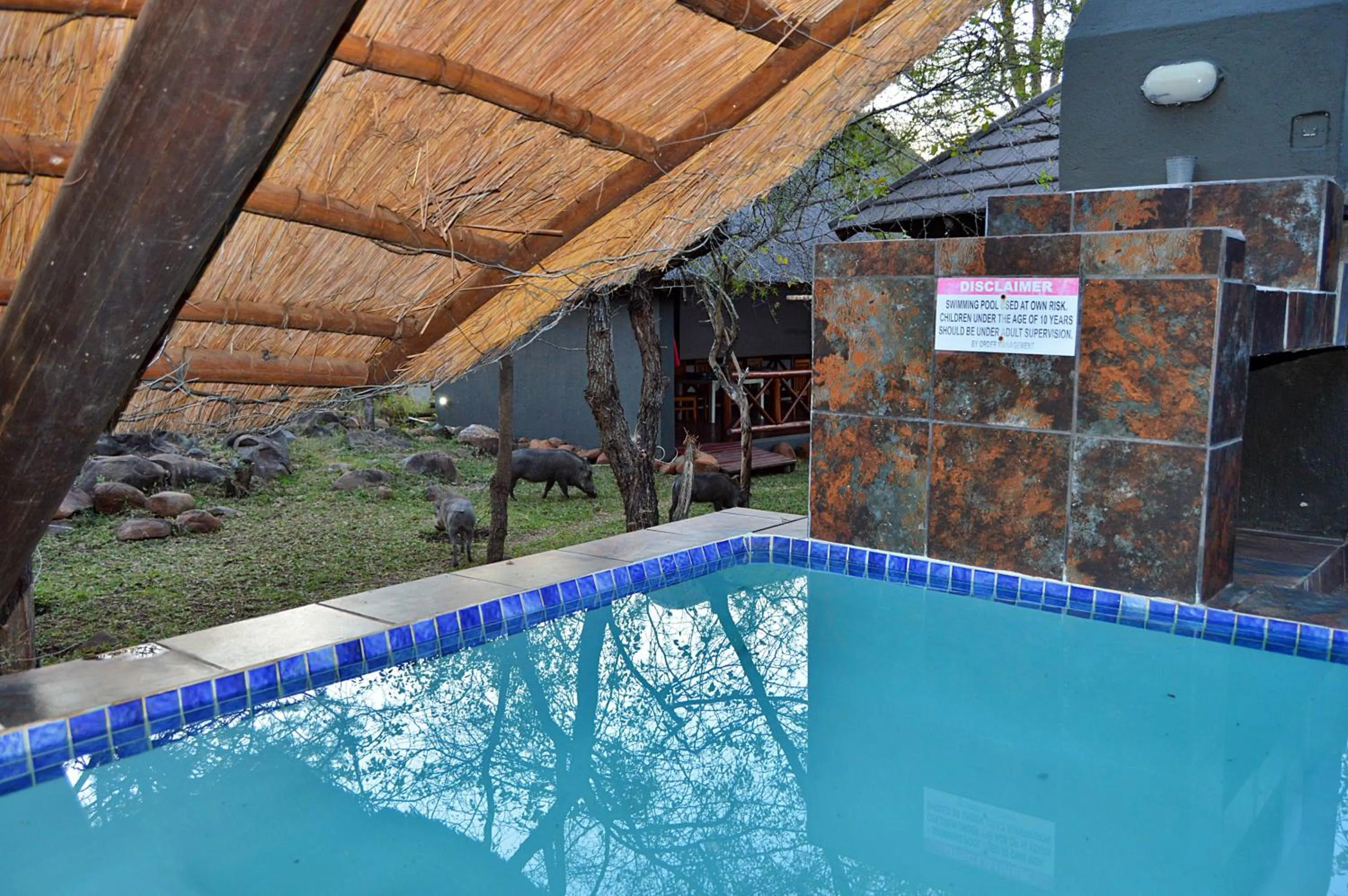 Royal Marlothi Kruger Safari Lodge and Spa