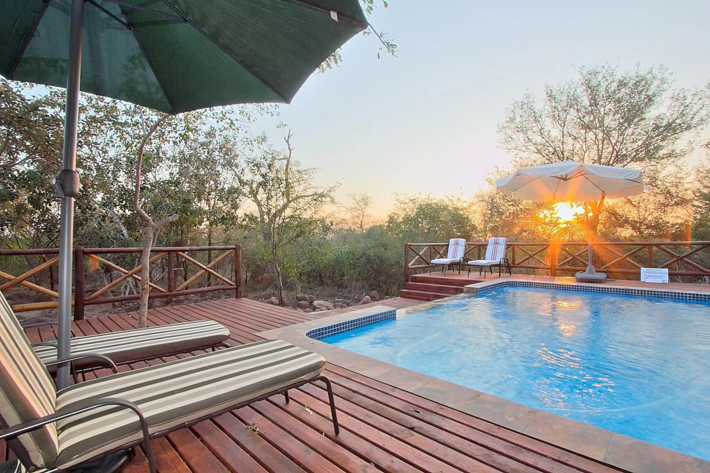 Swimming pool in Royal Marlothi Kruger Safari Lodge and Spa Swimming pool in Royal Marlothi Kruger Safari Lodge and Spa