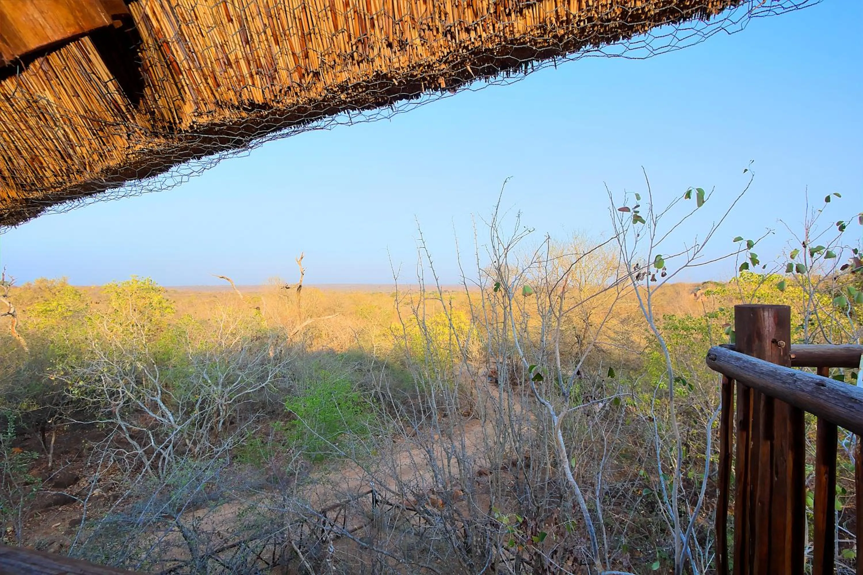 On site in Royal Marlothi Kruger Safari Lodge and Spa