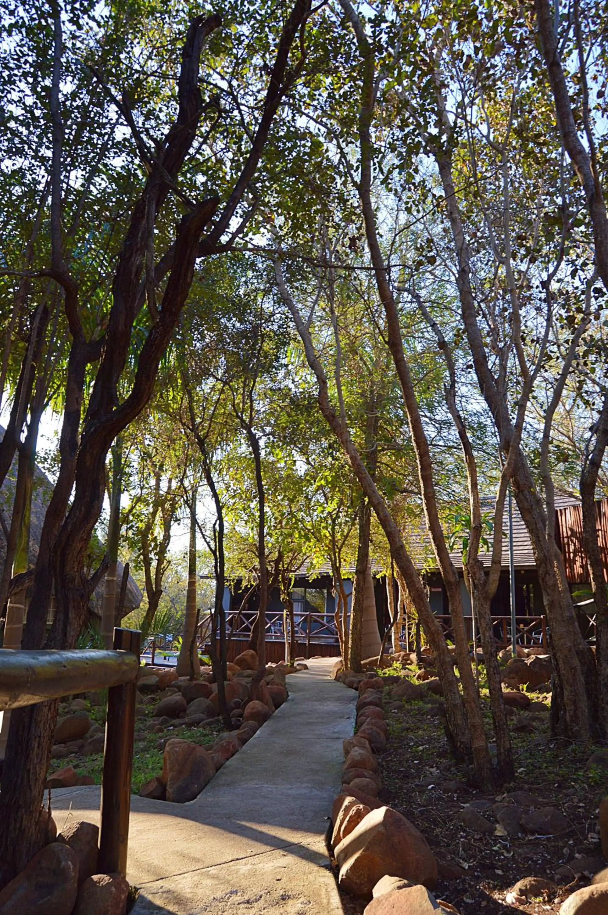 Royal Marlothi Kruger Safari Lodge and Spa