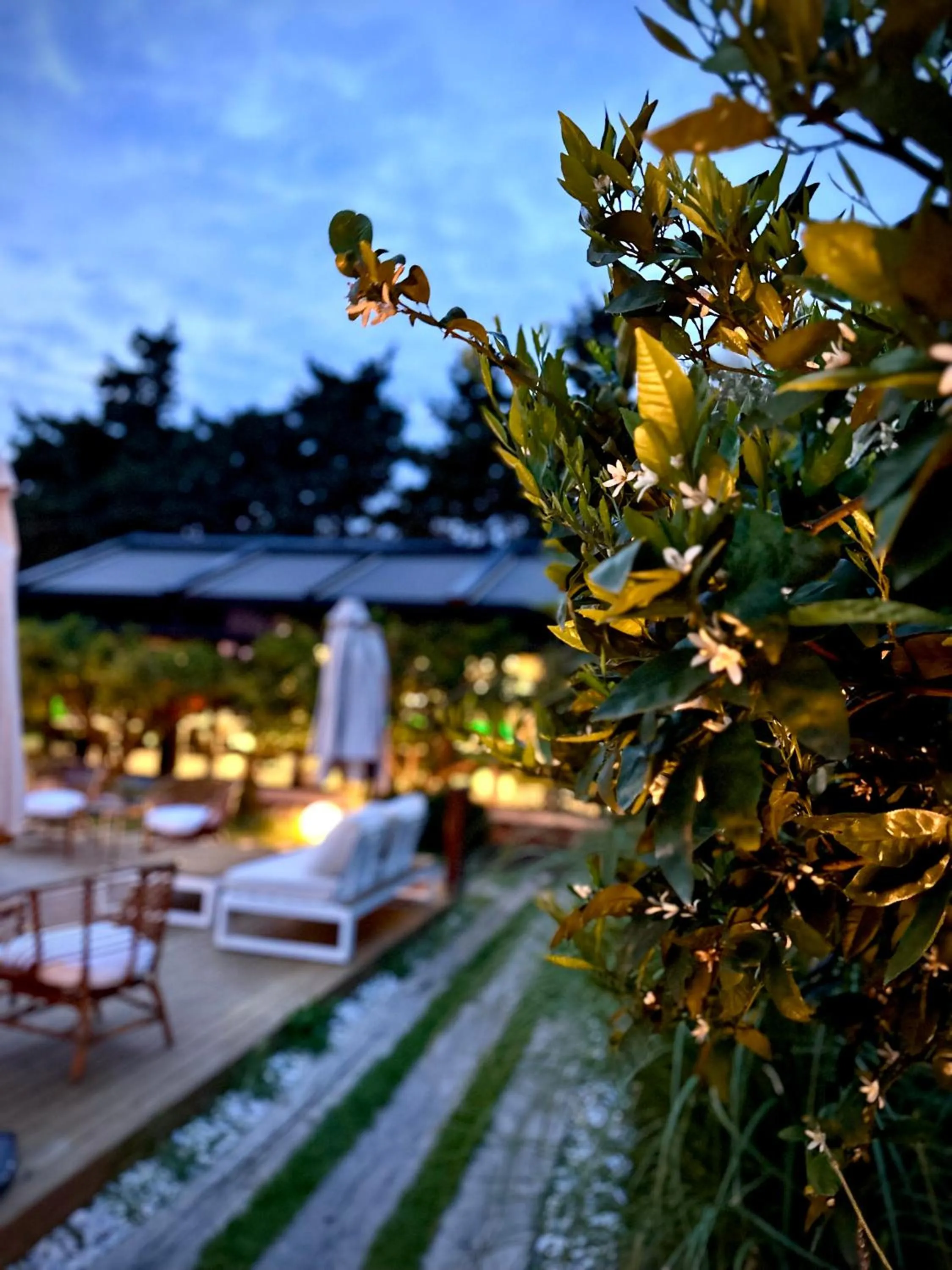 Garden in Tiny town kuyucak