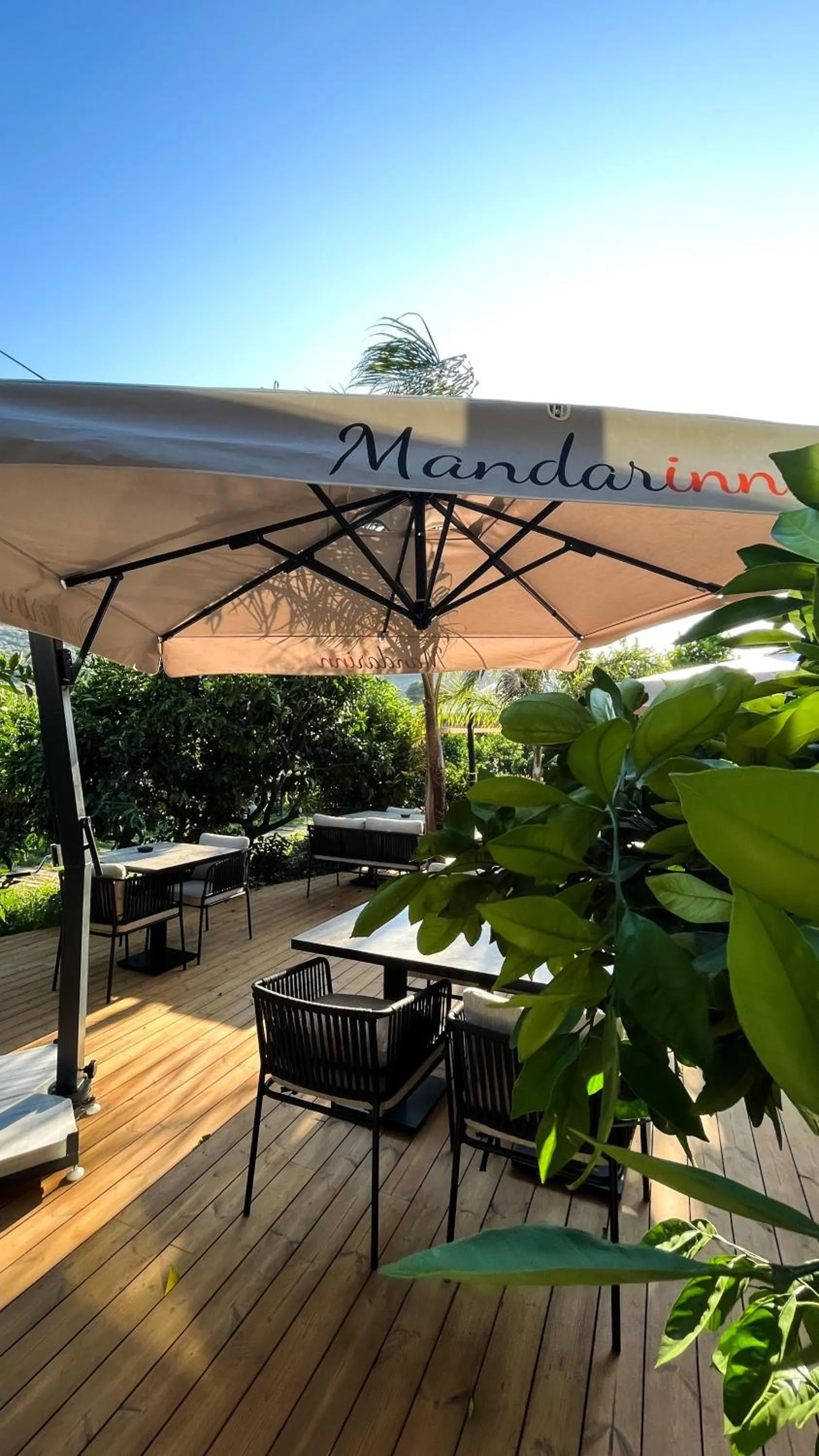 Restaurant/places to eat in Tiny town kuyucak