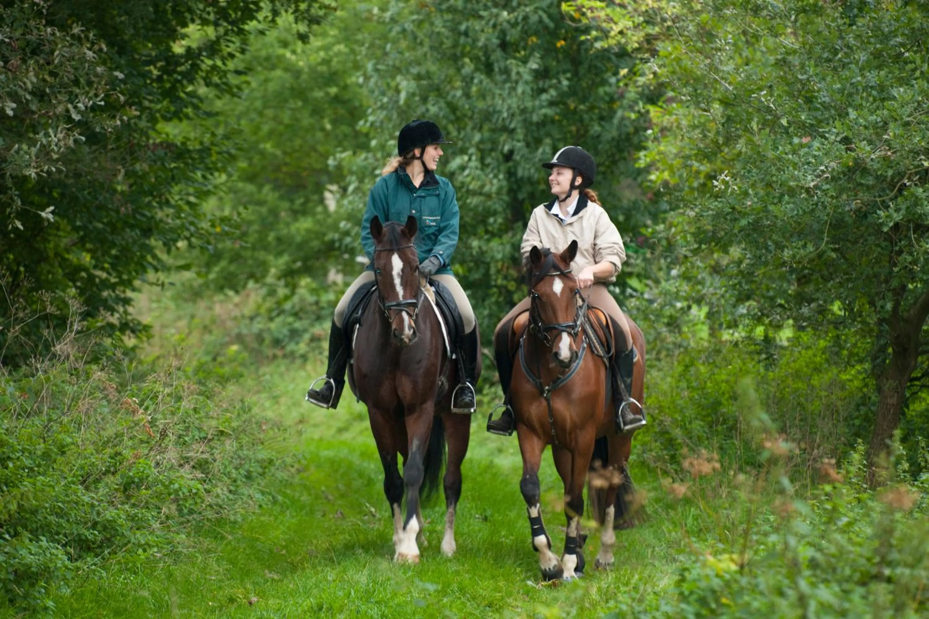 Horse-riding in Waldhotel zum Bergsee Damme