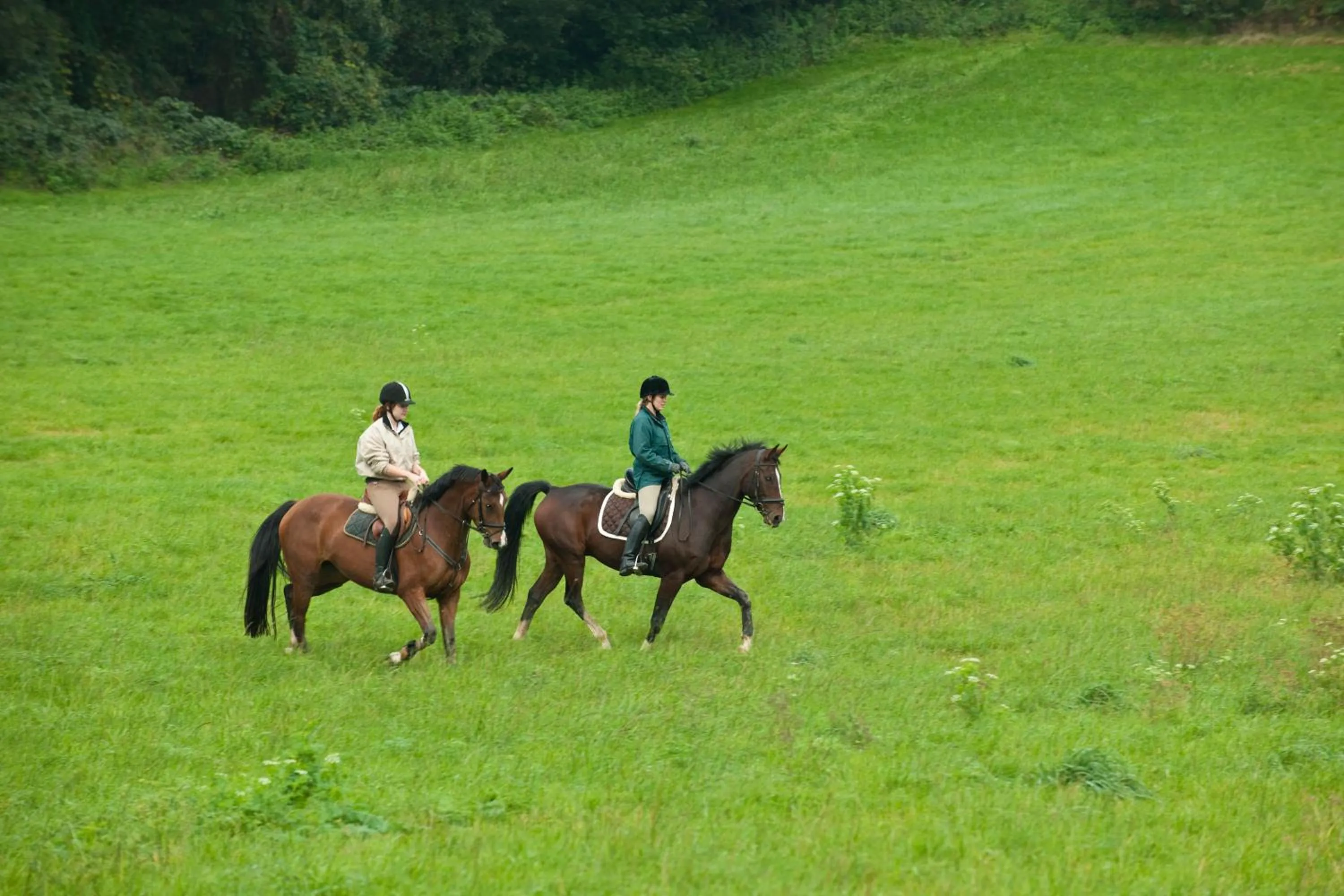 Area and facilities in Waldhotel zum Bergsee Damme