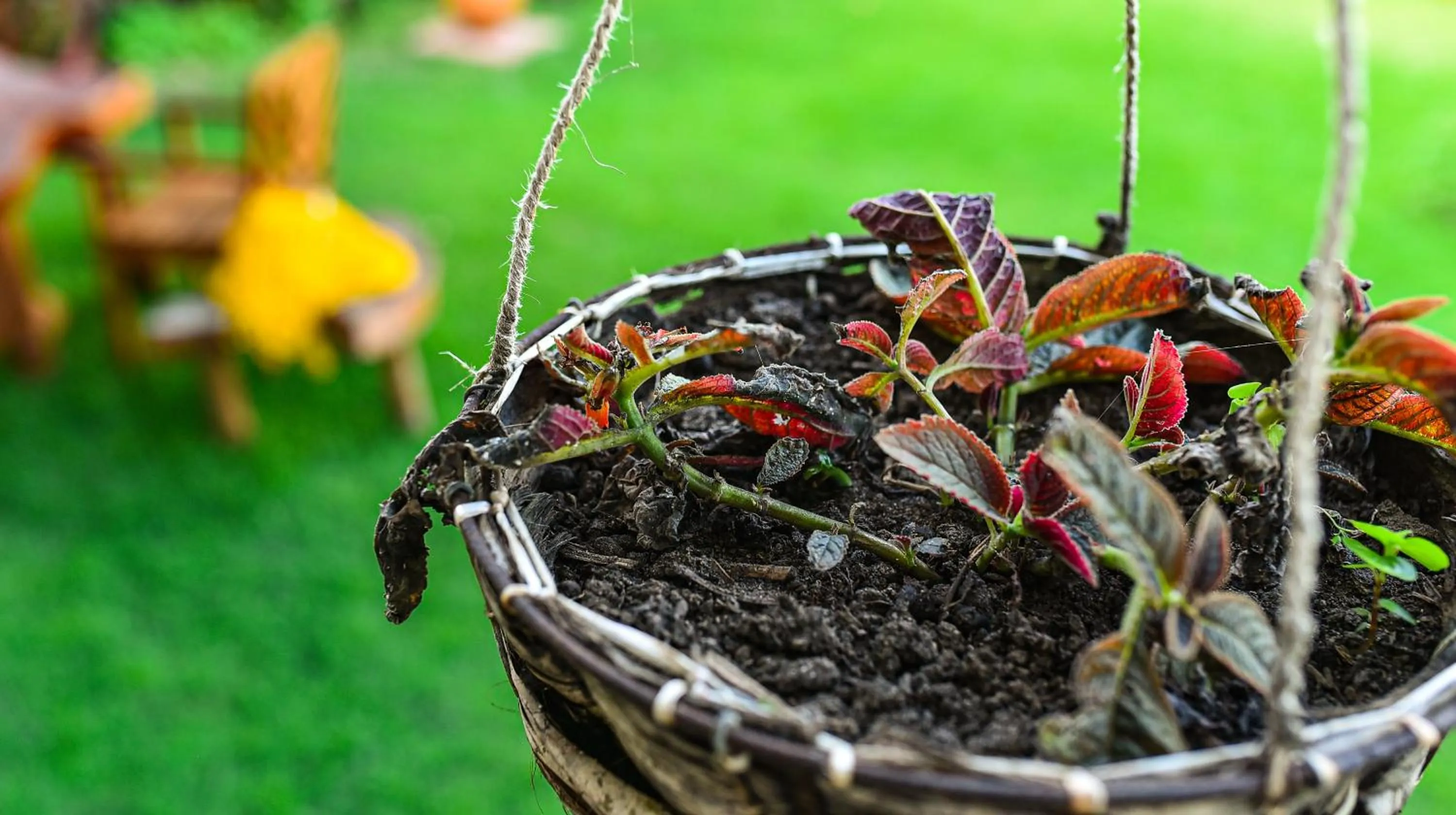 Spring in Pousada Marceneiro