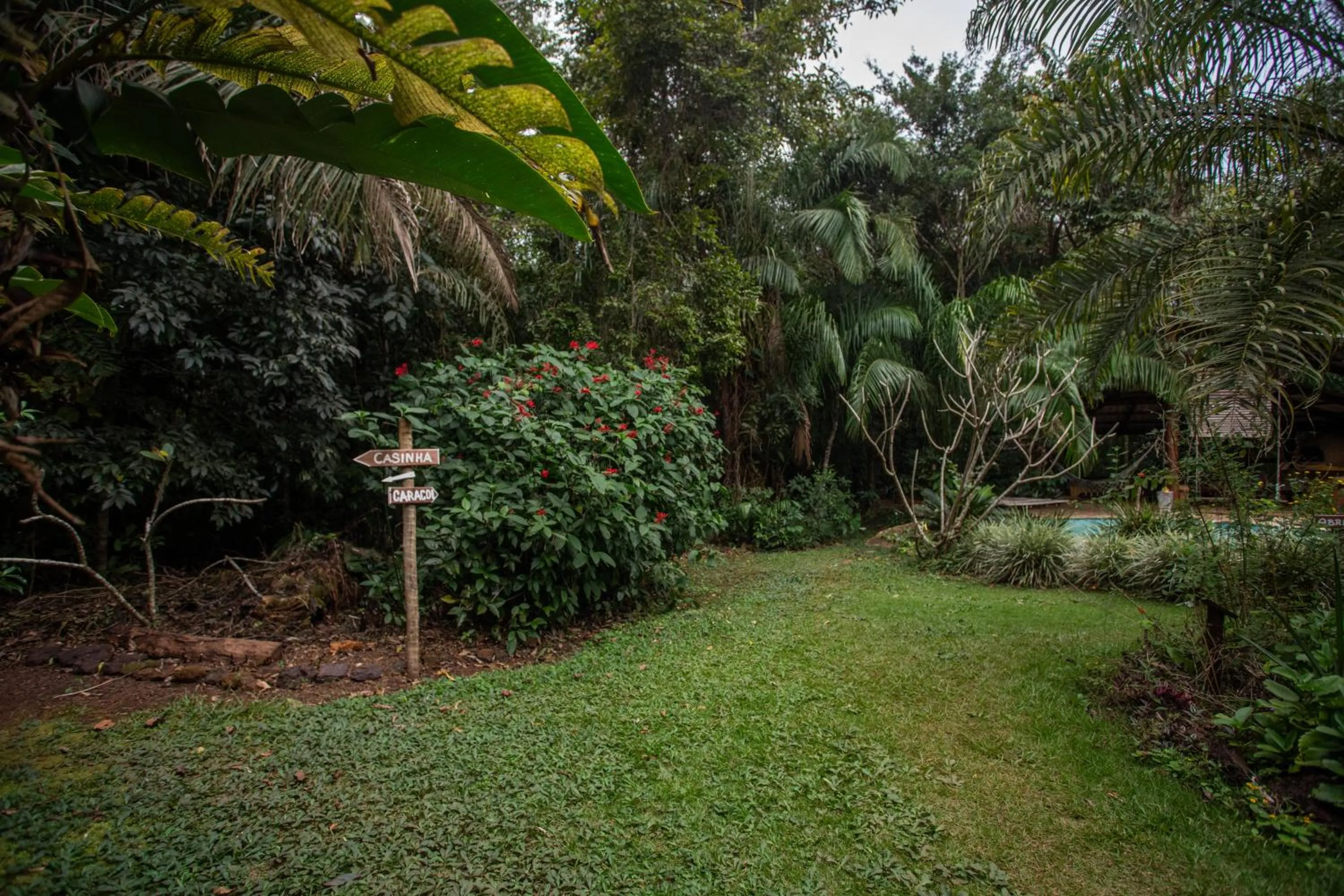 View (from property/room) in Cantos da Mata