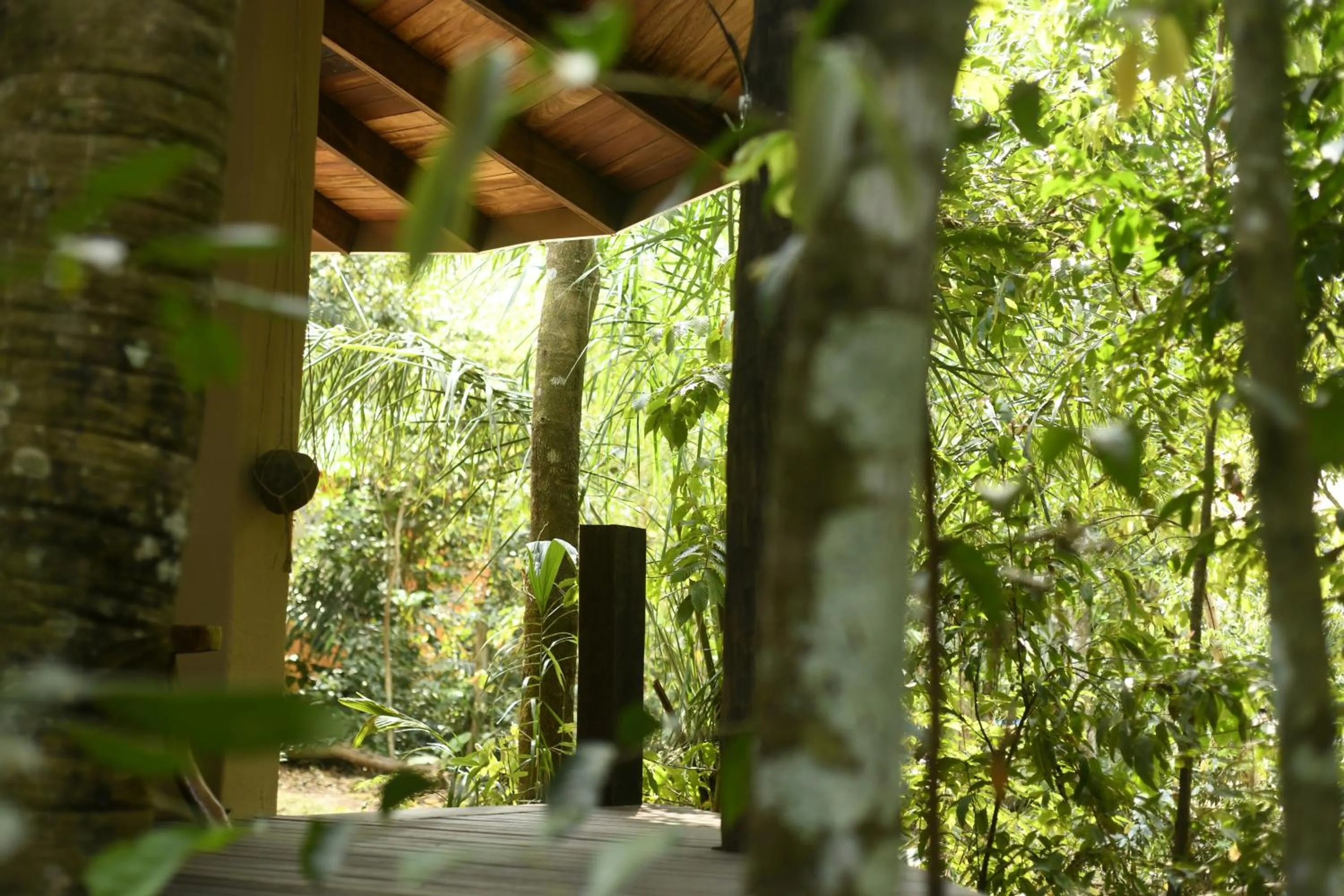 Garden view in Cantos da Mata
