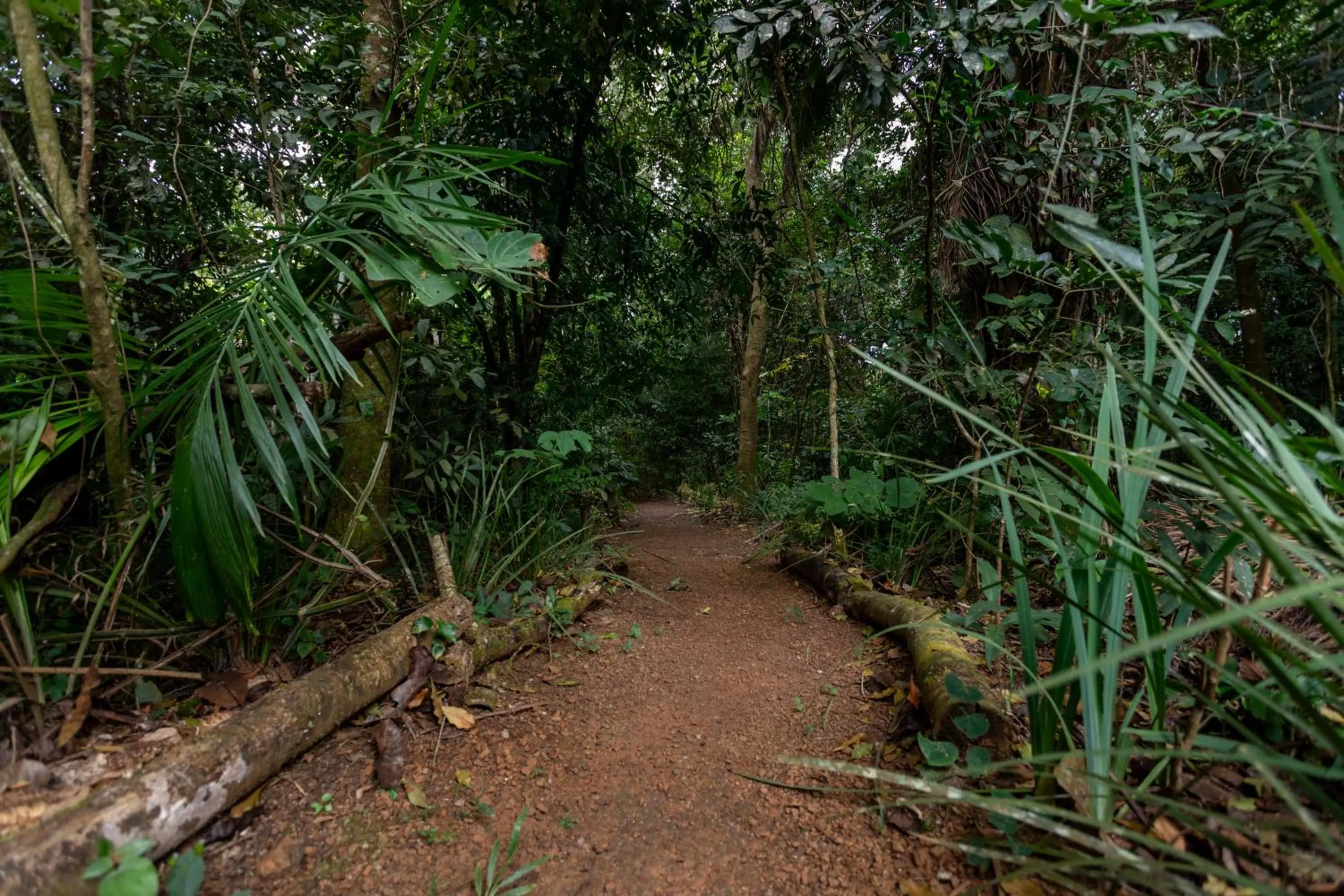 Natural landscape in Cantos da Mata