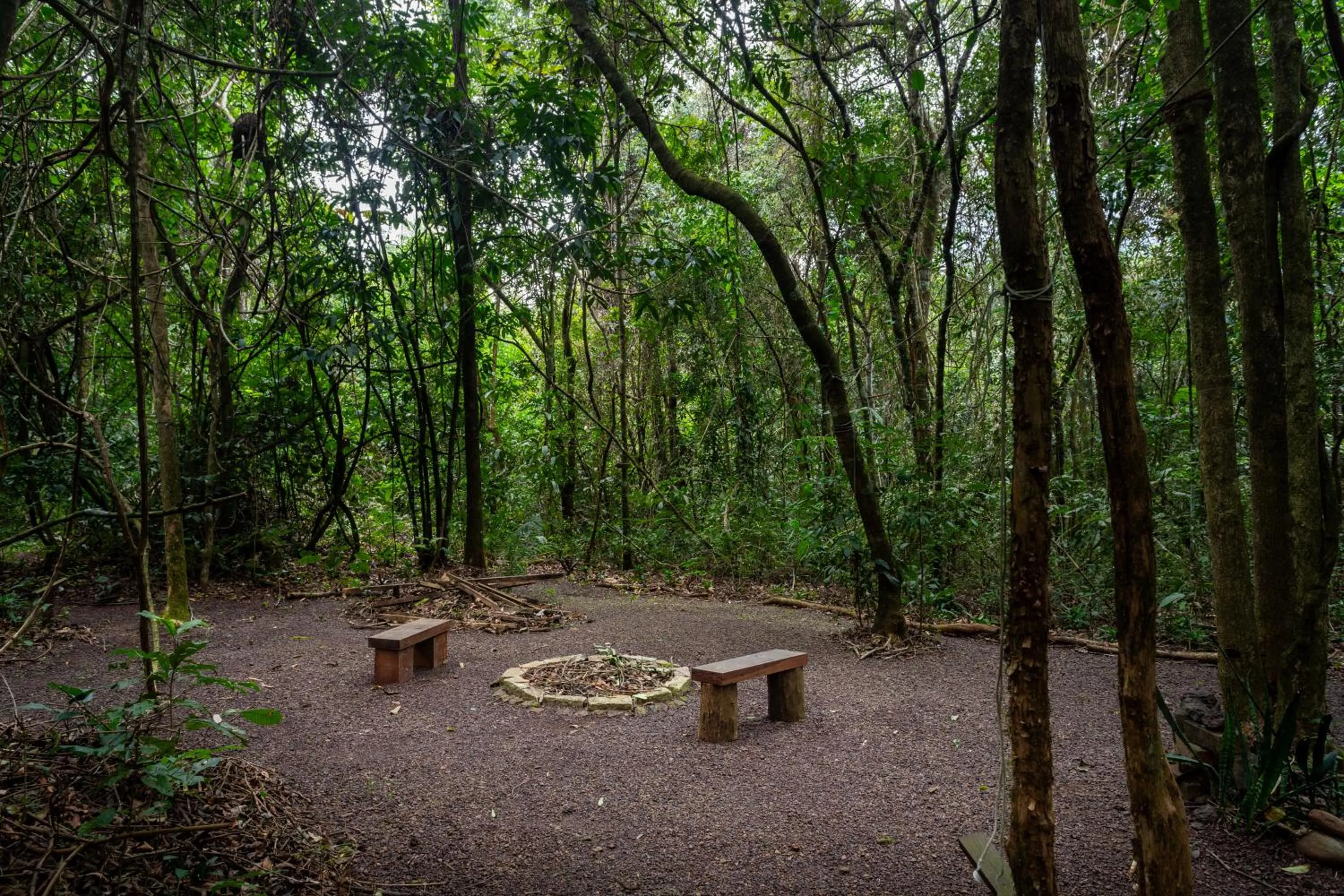 Bird's eye view in Cantos da Mata