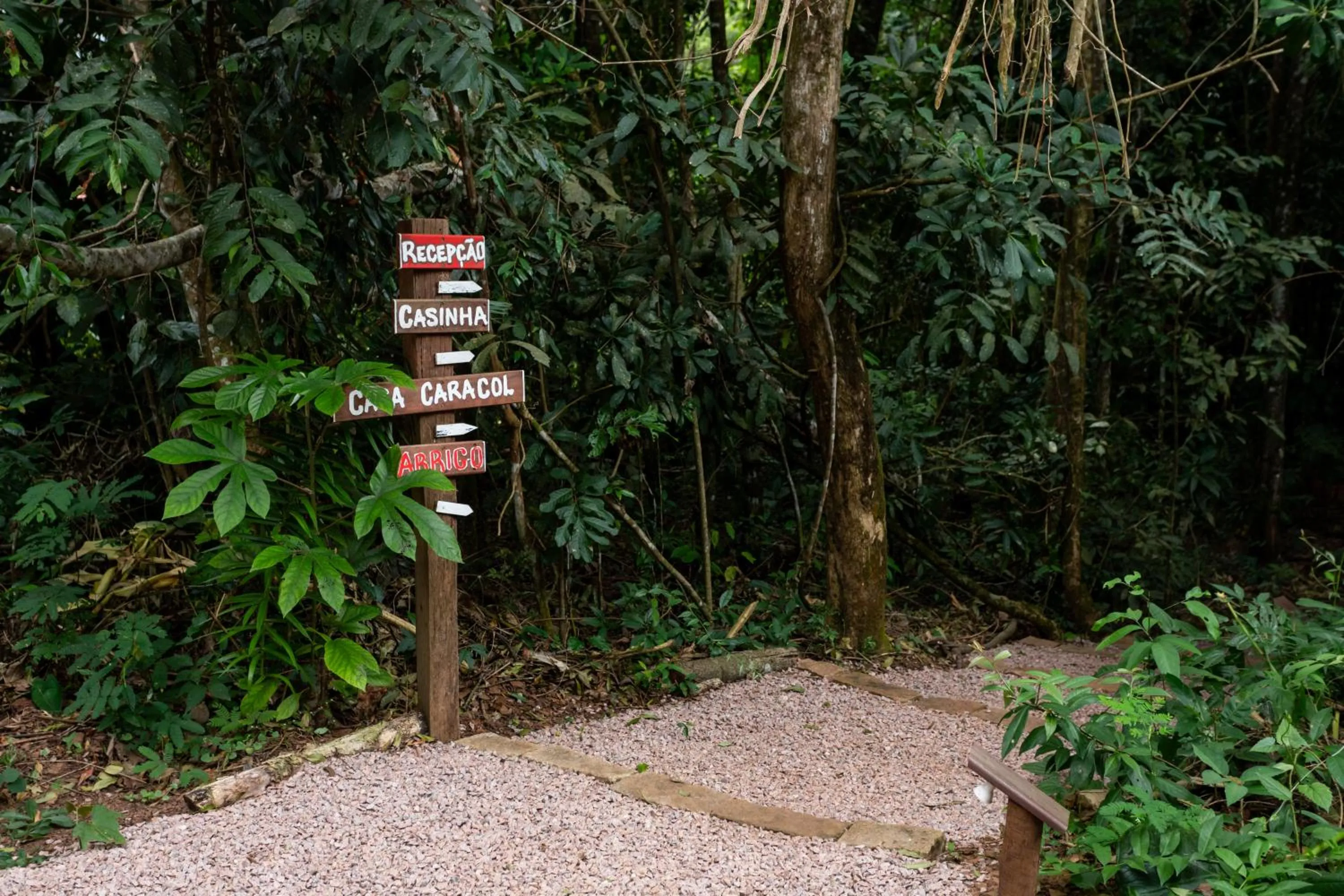 Hiking in Cantos da Mata