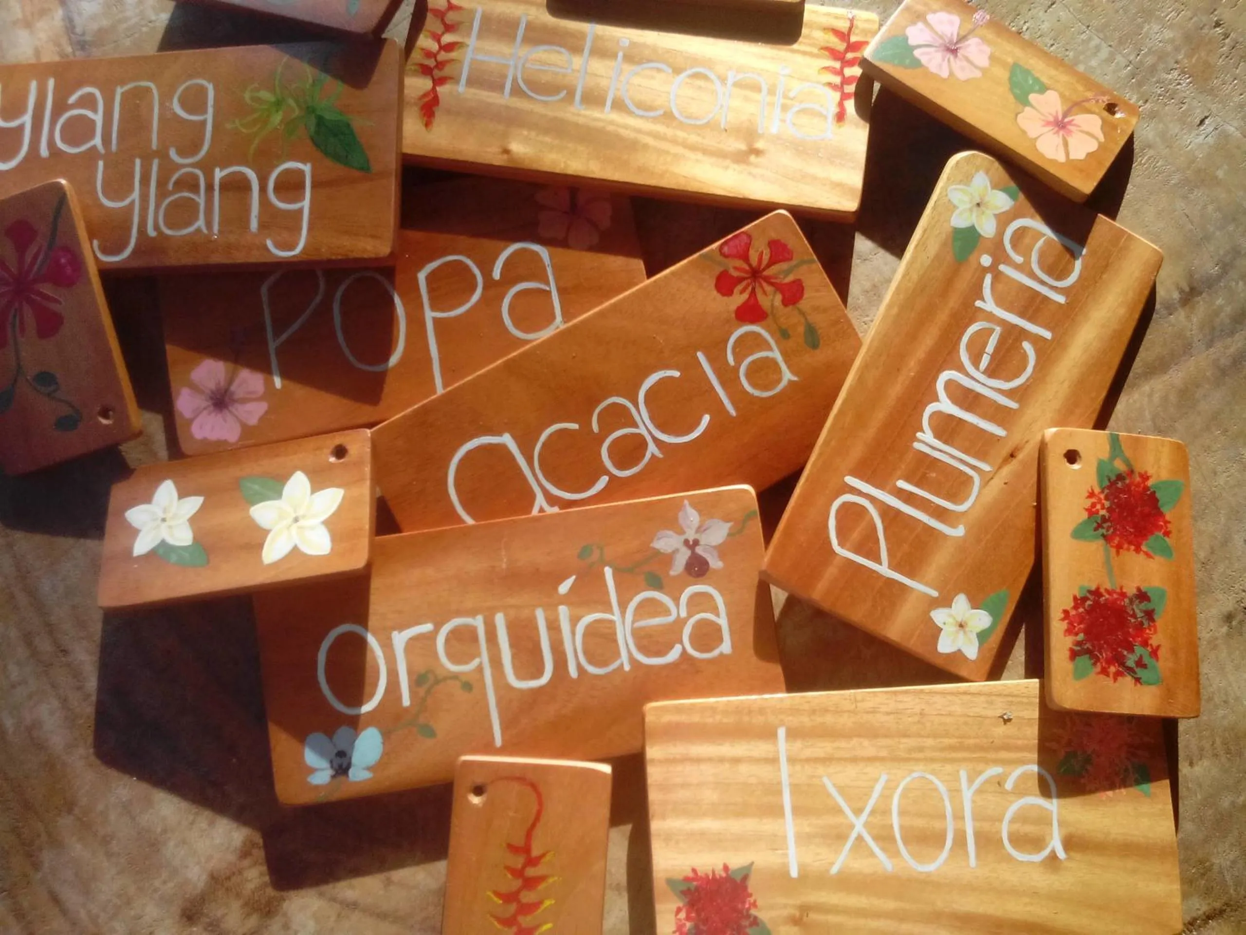 Other in Punta Duarte Garden Inn