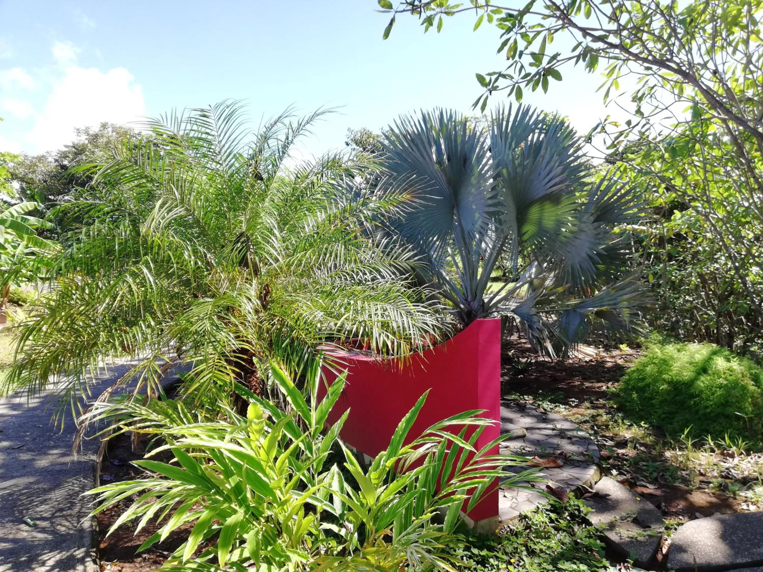Garden in Punta Duarte Garden Inn