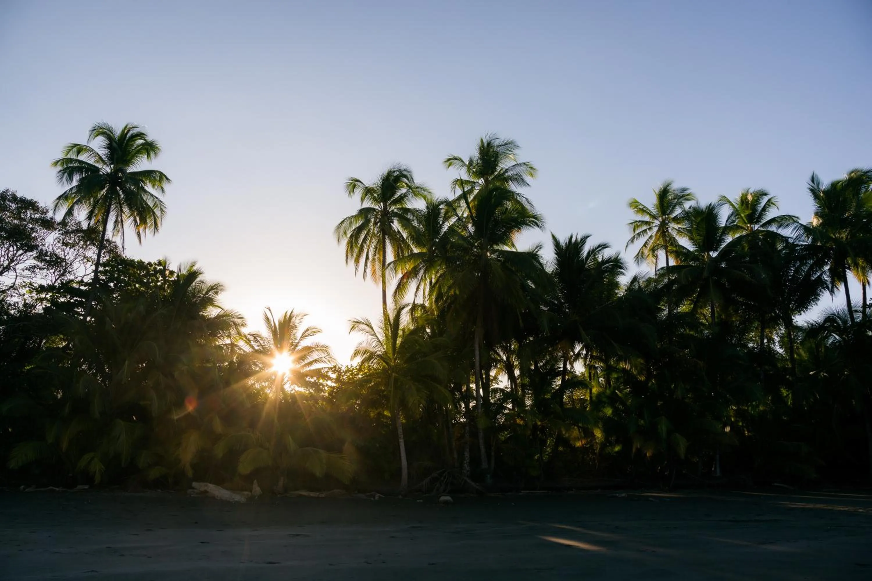Natural landscape in Punta Duarte Garden Inn