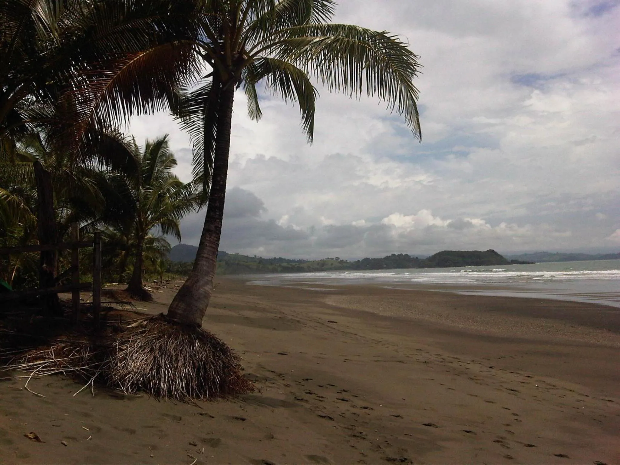 Beach in Punta Duarte Garden Inn