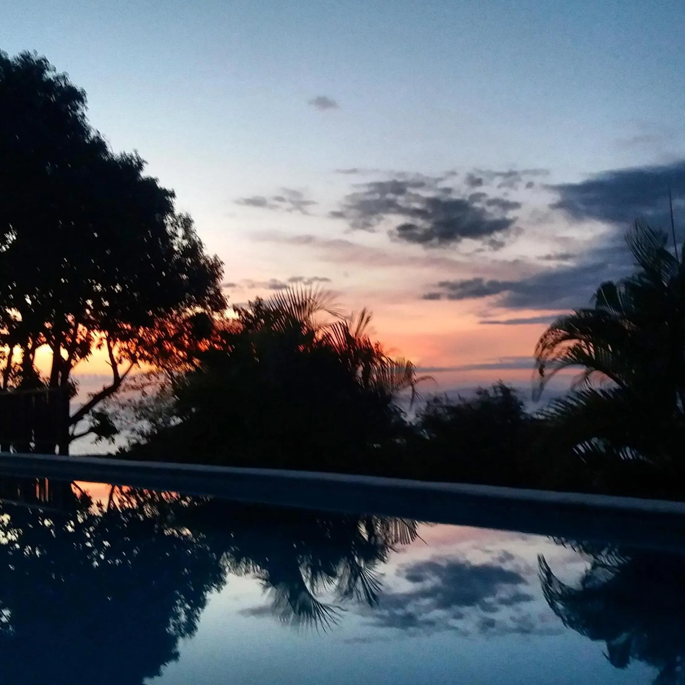 Garden view in Punta Duarte Garden Inn