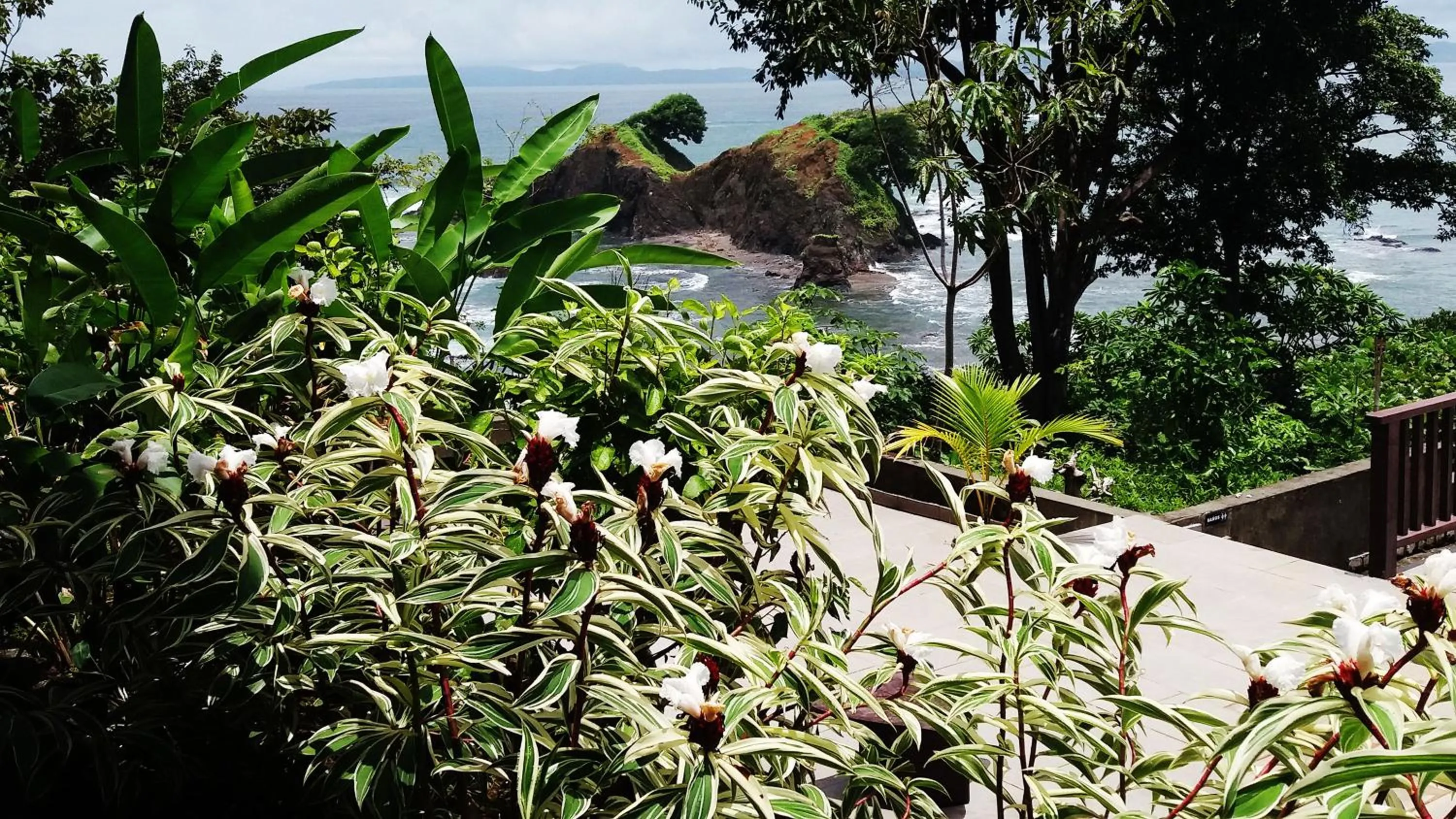 Property building in Punta Duarte Garden Inn