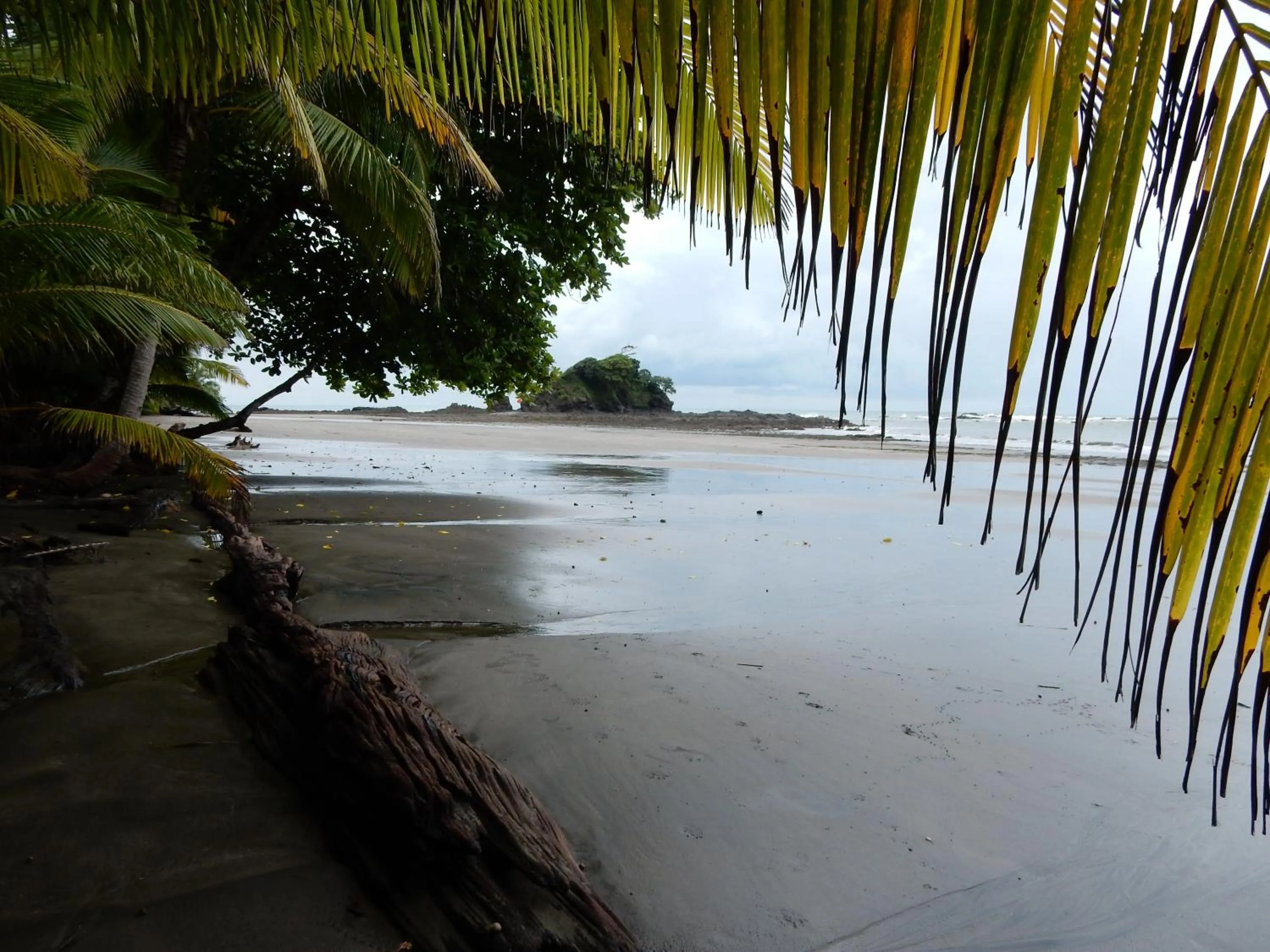 Beach in Punta Duarte Garden Inn