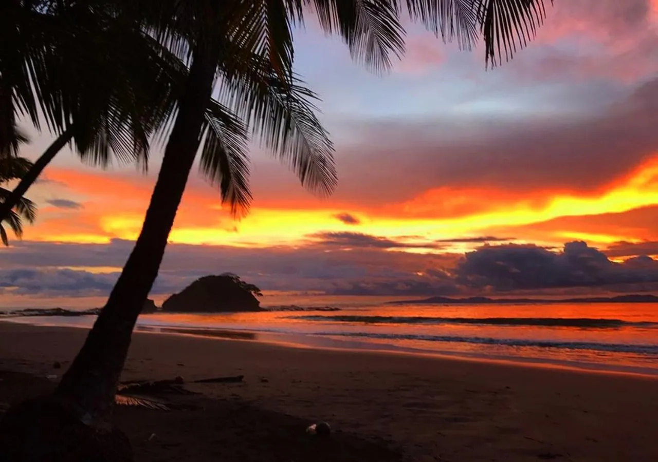 Beach in Punta Duarte Garden Inn