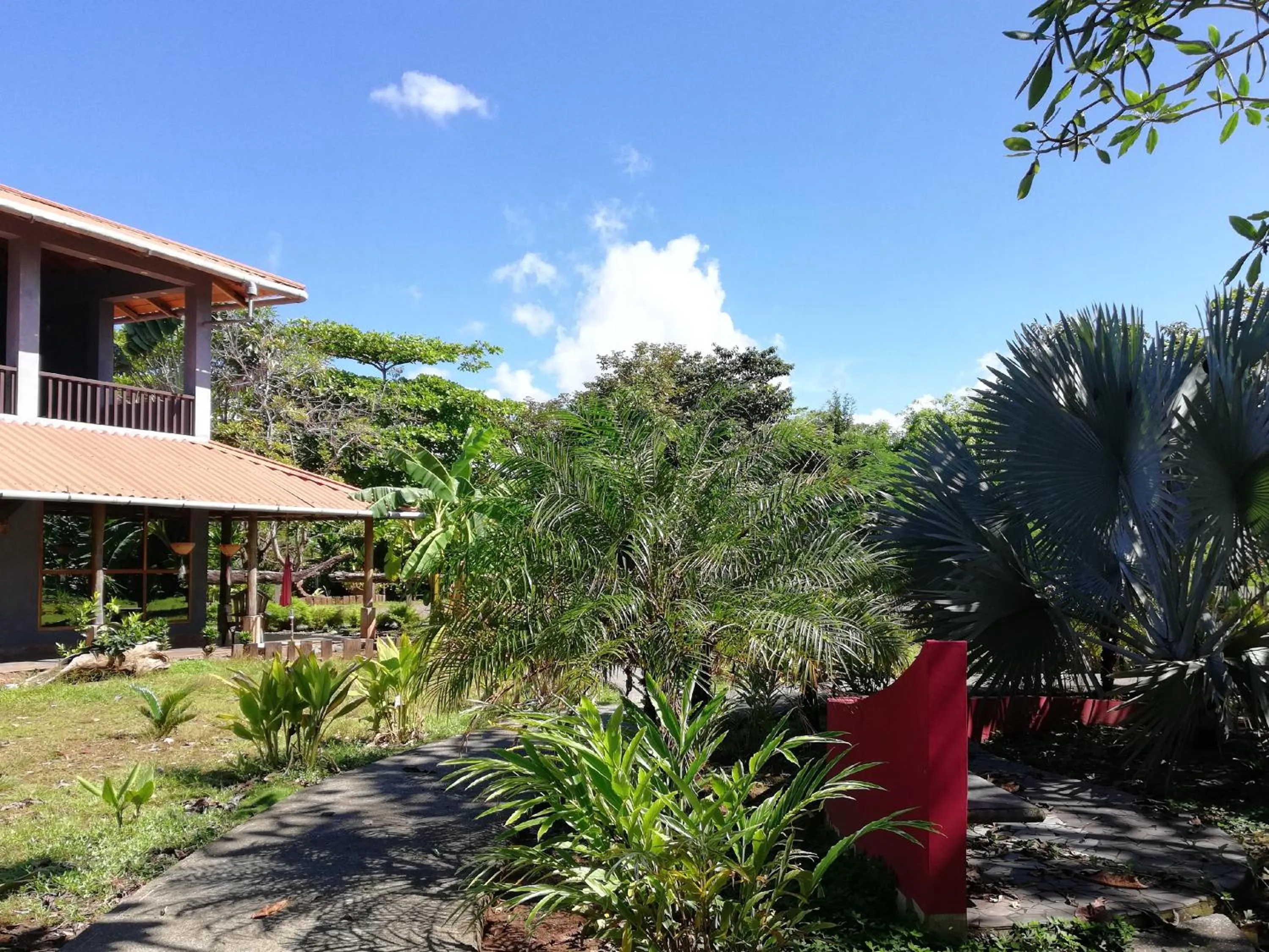 Garden view in Punta Duarte Garden Inn
