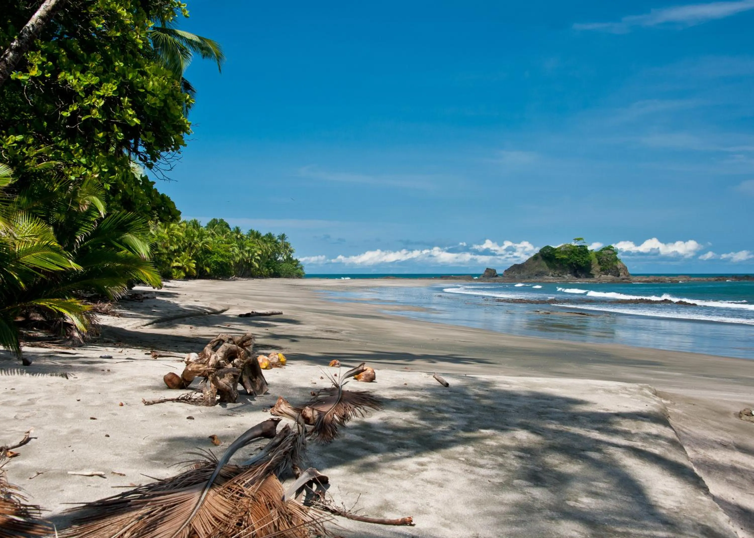 Beach in Punta Duarte Garden Inn