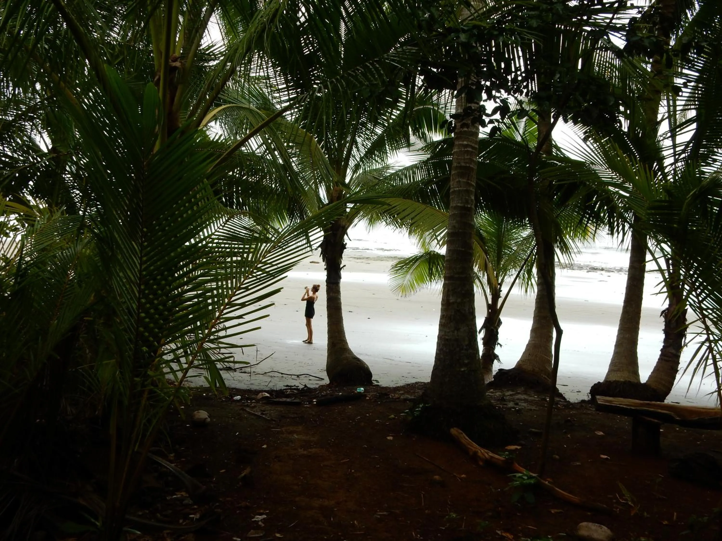 Garden in Punta Duarte Garden Inn