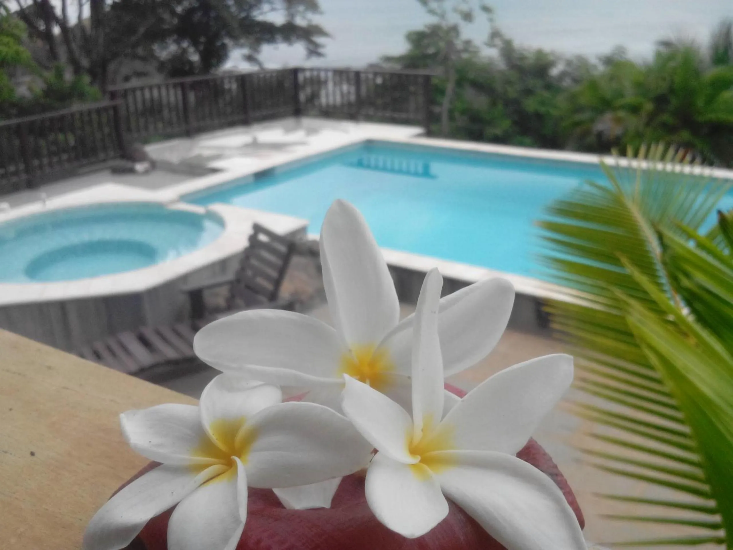 Pool view in Punta Duarte Garden Inn