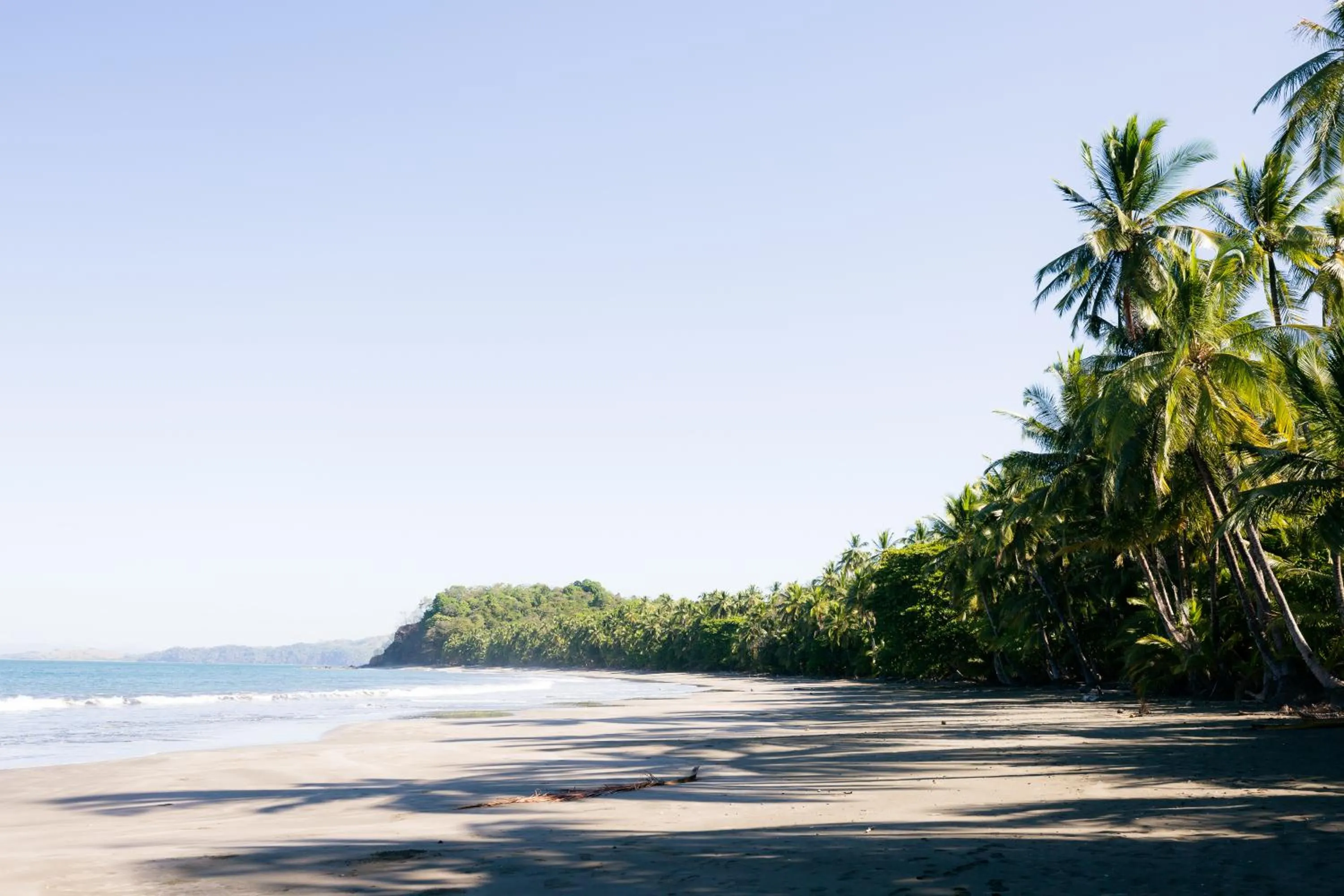 Natural landscape in Punta Duarte Garden Inn