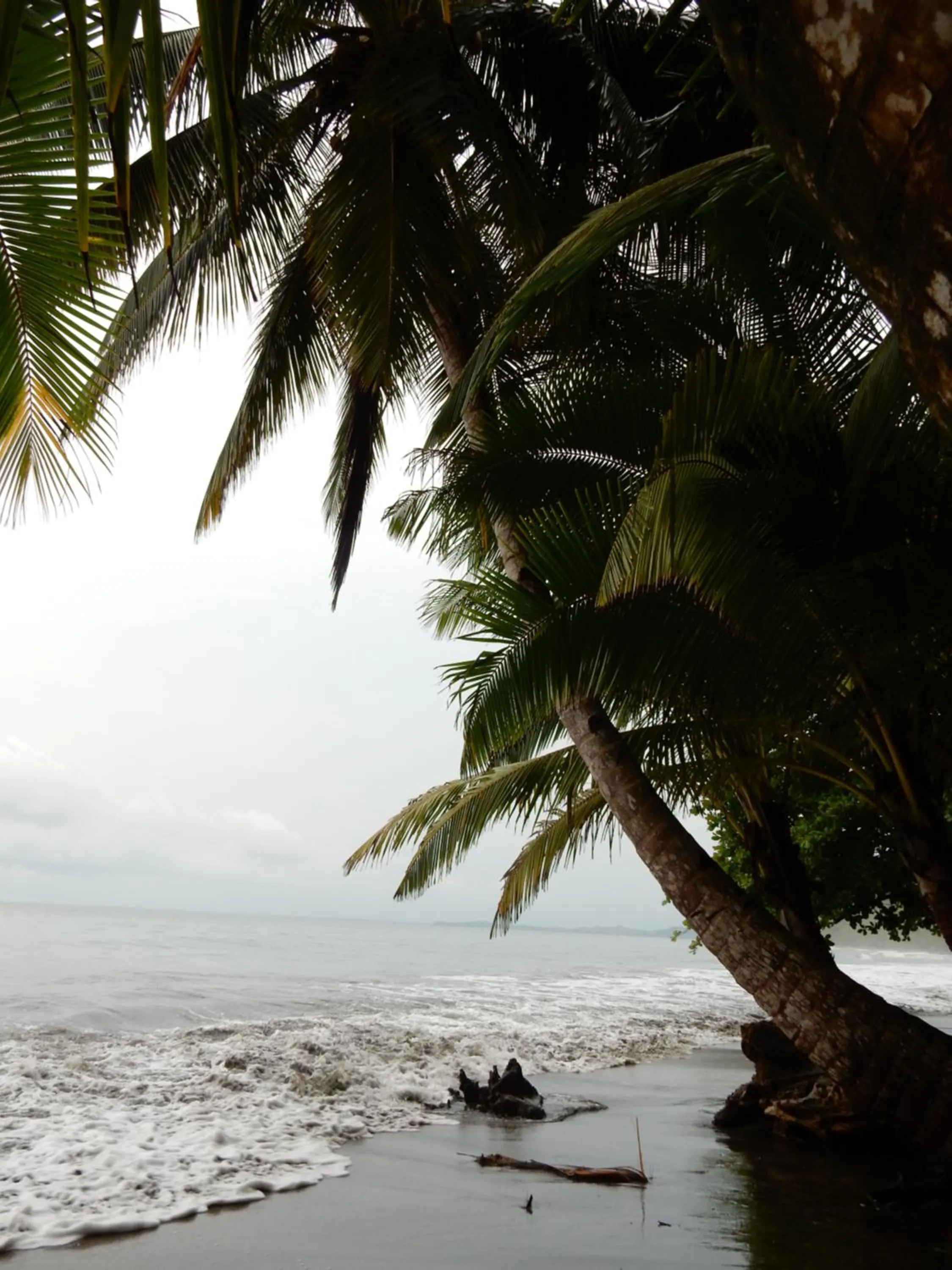 Beach in Punta Duarte Garden Inn