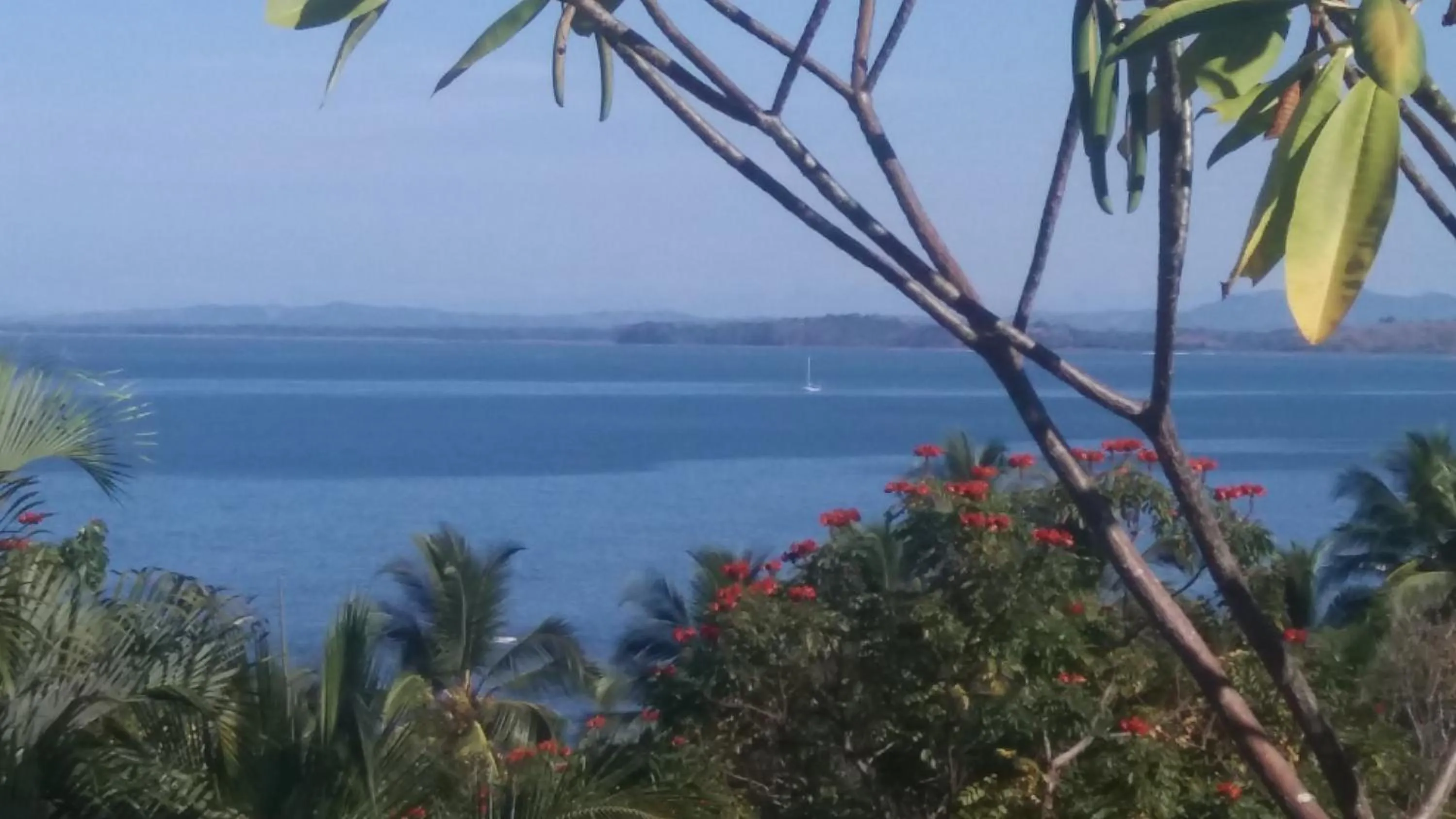 Garden in Punta Duarte Garden Inn