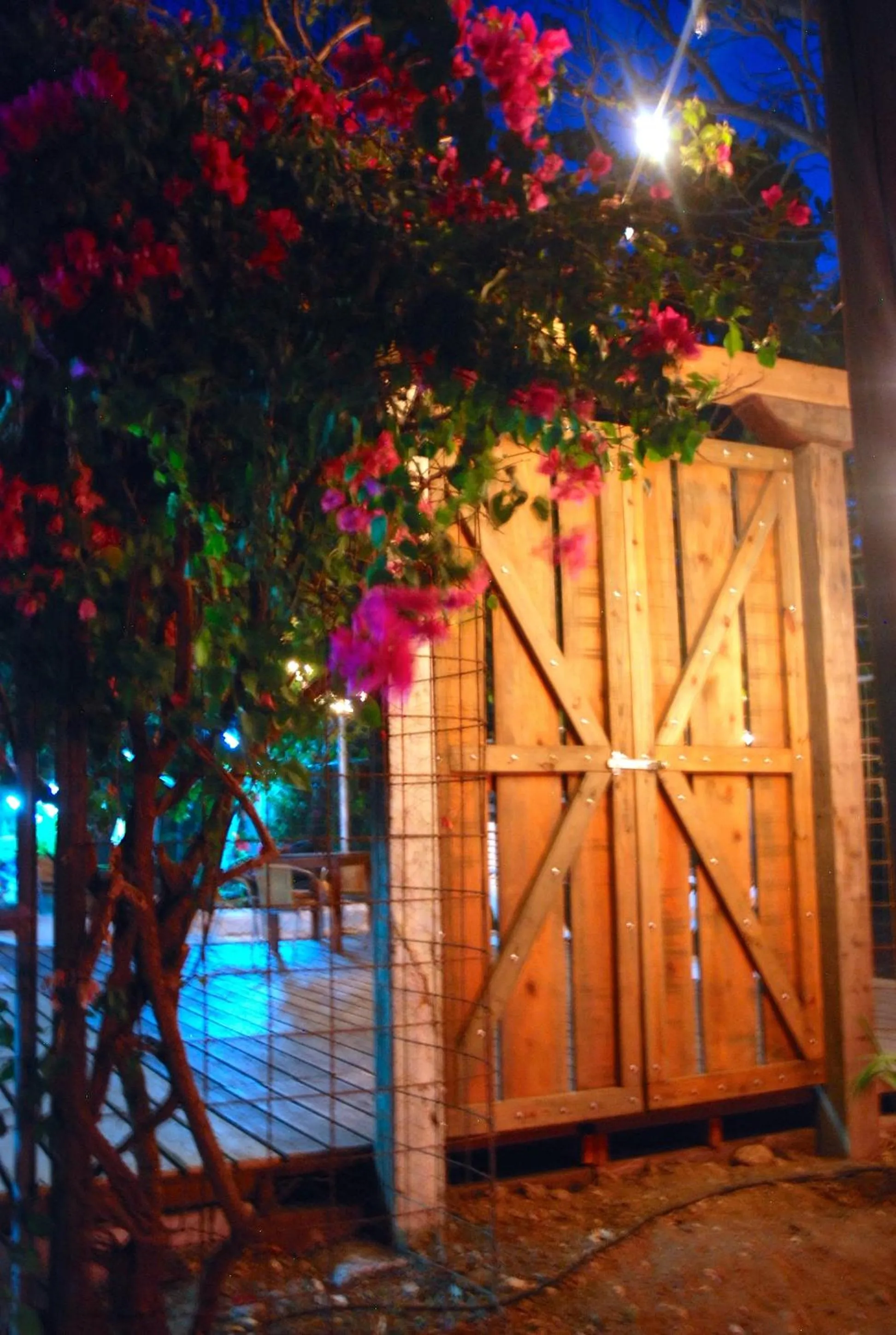 View (from property/room) in Hotel M&M Beach House